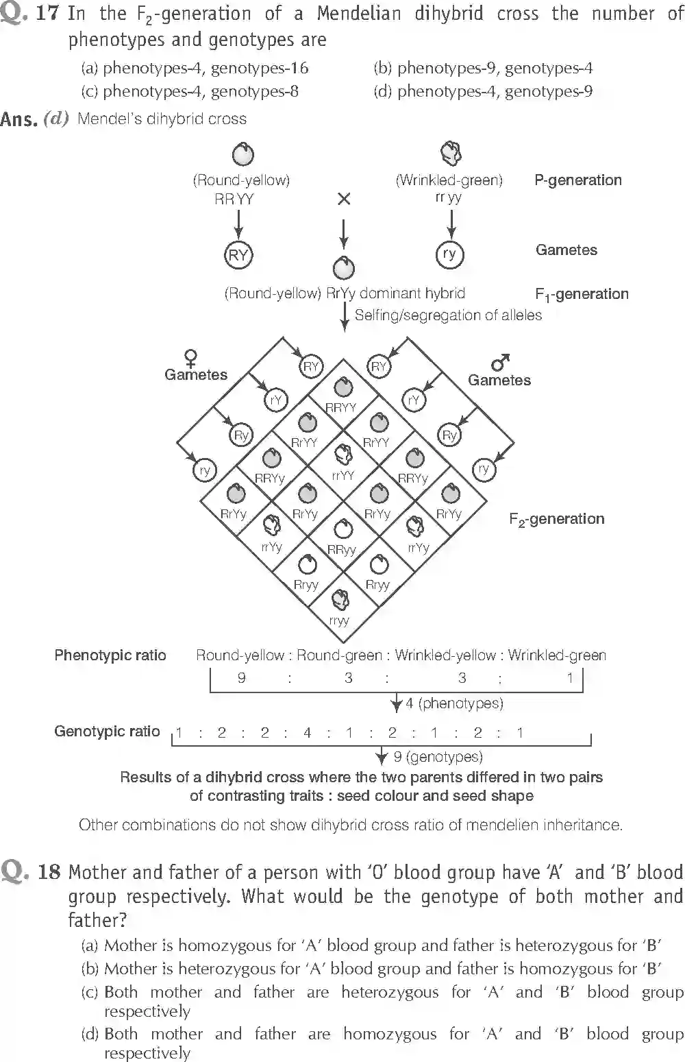 NCERT-Solution-Class-12-Biology-Exemplar-Principle-of-Inheritance-and-Variations-321-page-9