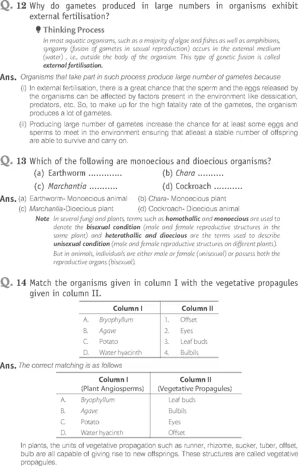 NCERT-Solution-Class-12-Biology-Exemplar-Reproduction-in-Organisms-317-page-11
