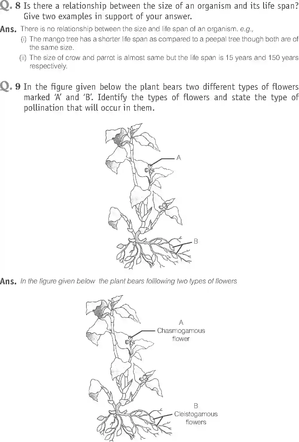 NCERT-Solution-Class-12-Biology-Exemplar-Reproduction-in-Organisms-317-page-9