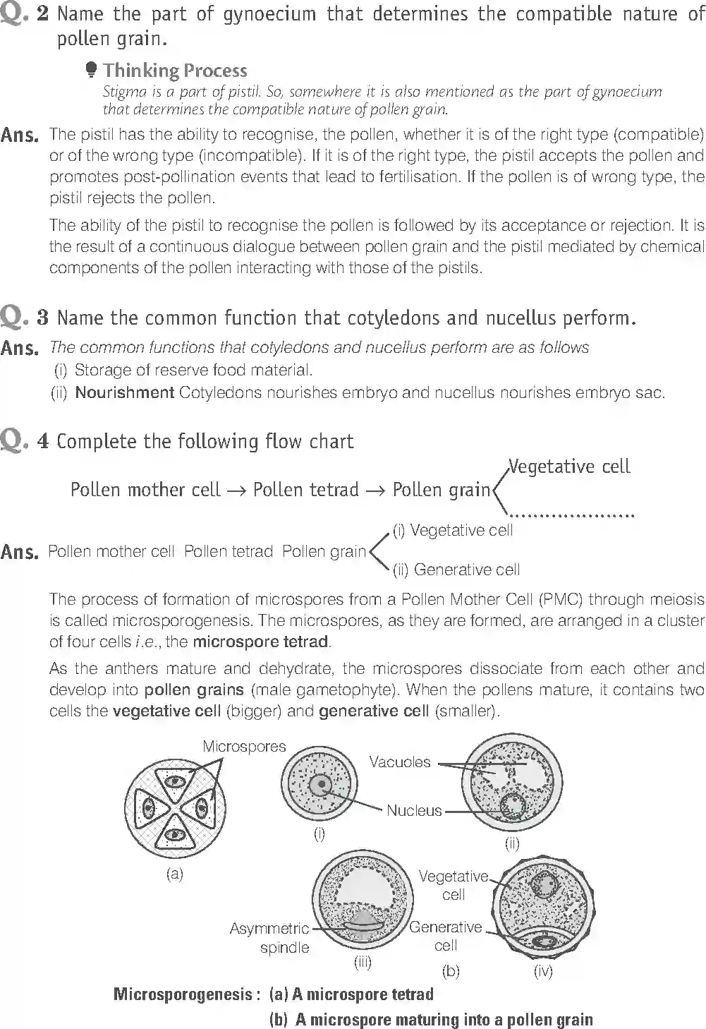 NCERT-Solution-Class-12-Biology-Exemplar-Sexual-Reproduction-in-Flowering-Plants-318-page-9