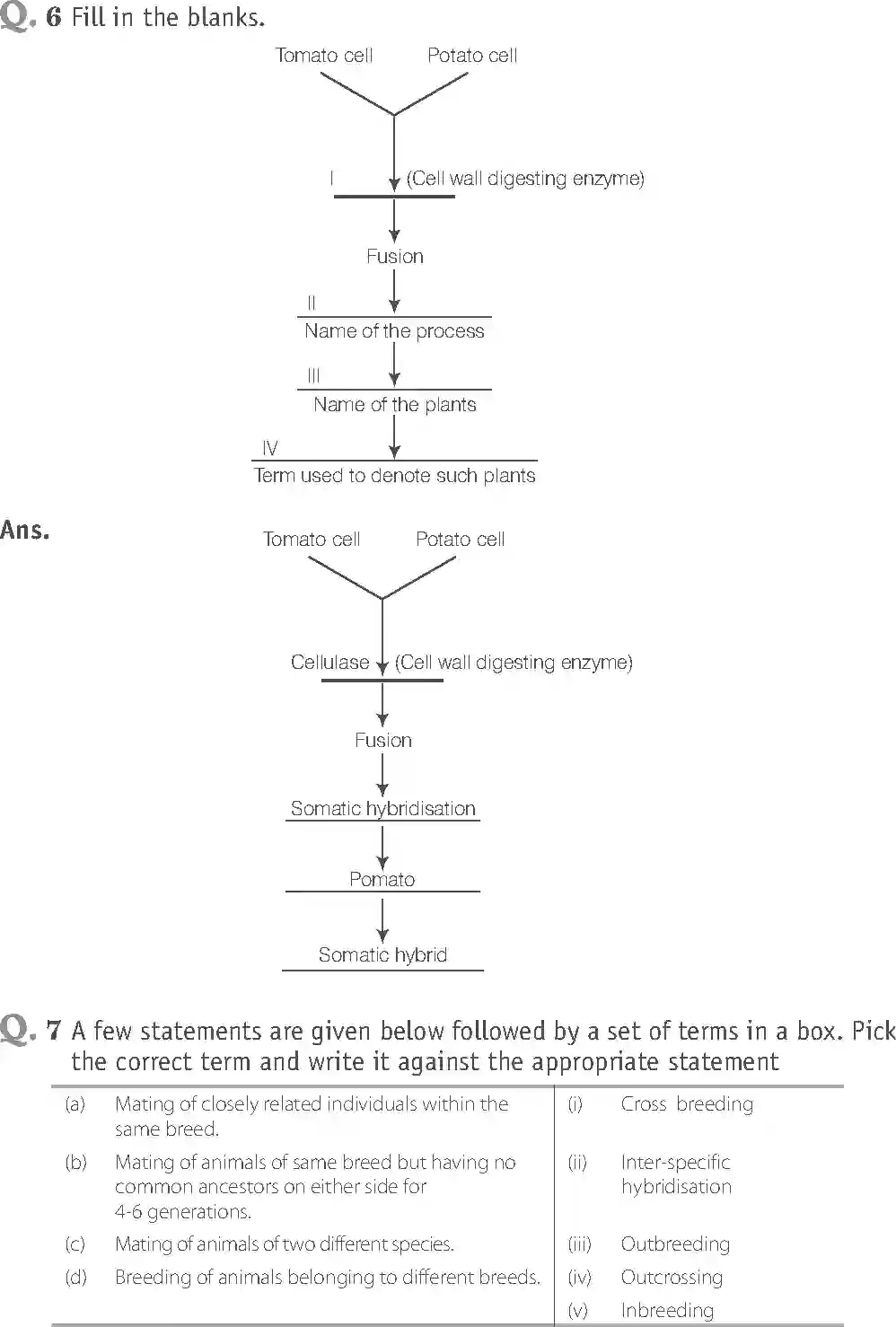 NCERT-Solution-Class-12-Biology-Exemplar-Strategies-for-Enhancement-in-Food-Production-2497-page-8