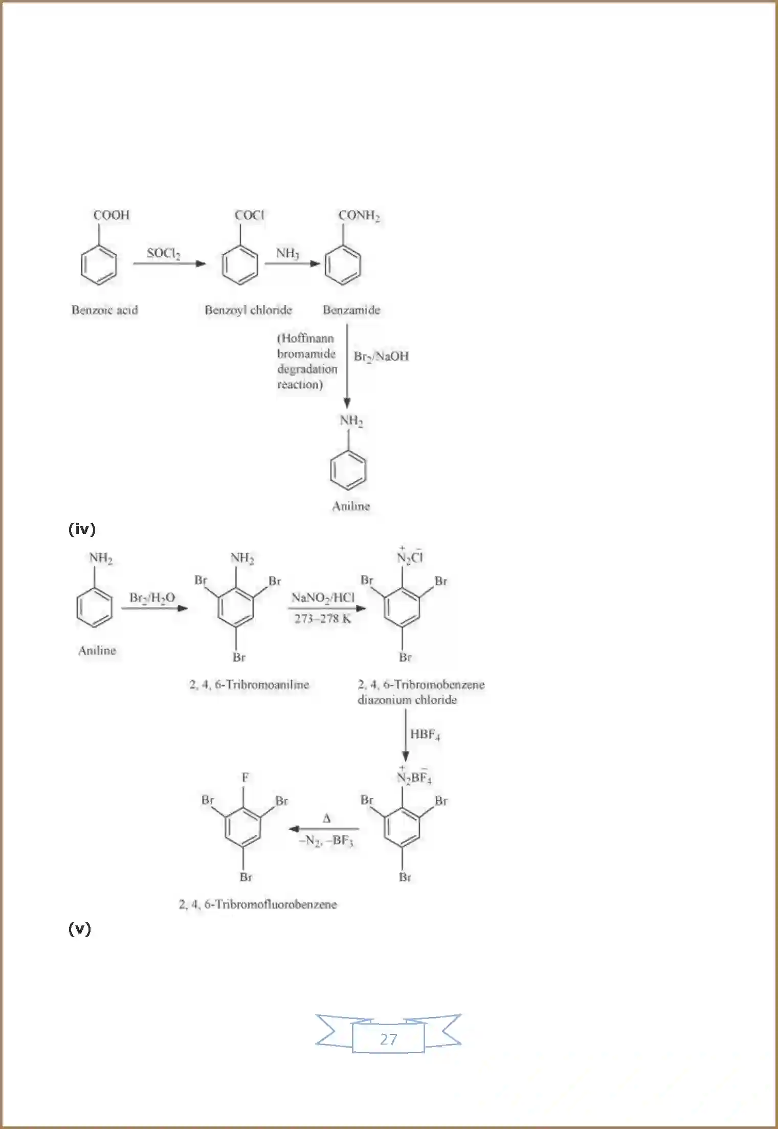 NCERT-Solution-Class-12-Chemistry-Chapter-13-67-page-19