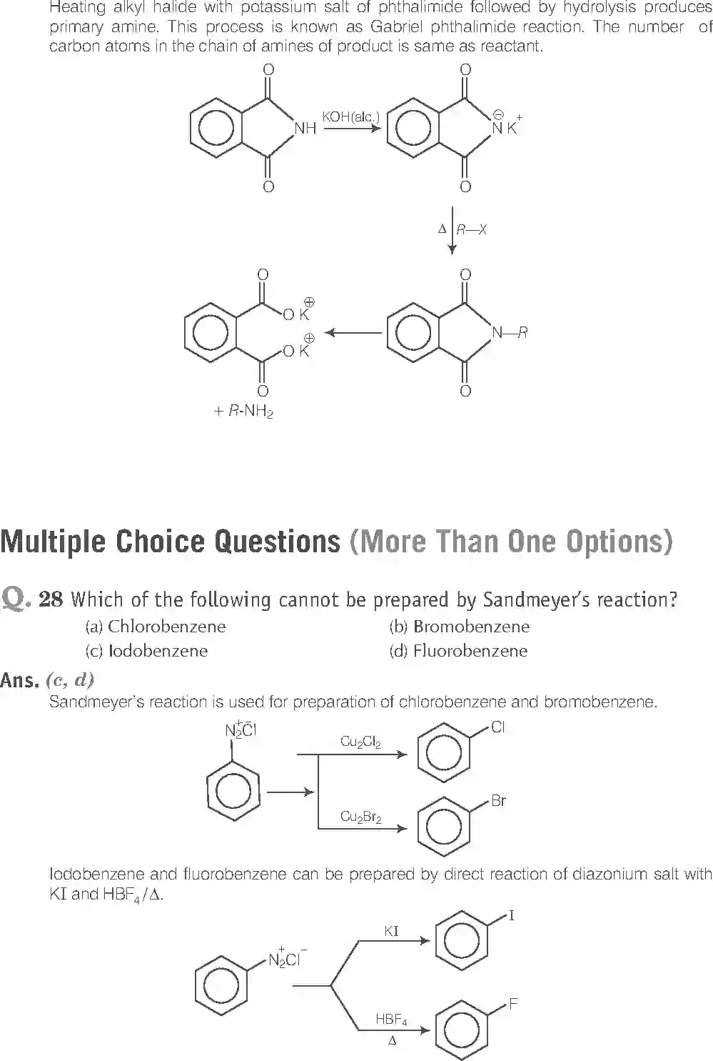 NCERT-Solution-Class-12-Chemistry-Exemplar-Amines-313-page-11
