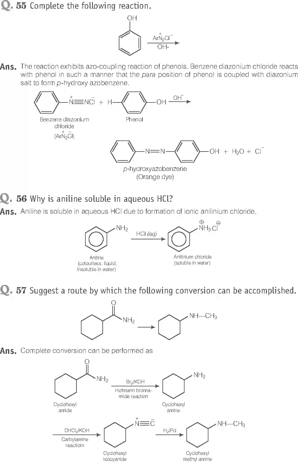 NCERT-Solution-Class-12-Chemistry-Exemplar-Amines-313-page-20