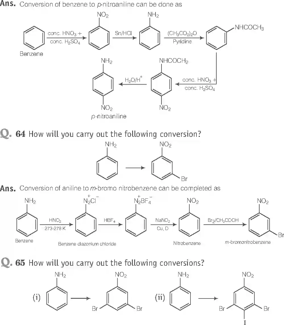 NCERT-Solution-Class-12-Chemistry-Exemplar-Amines-313-page-24