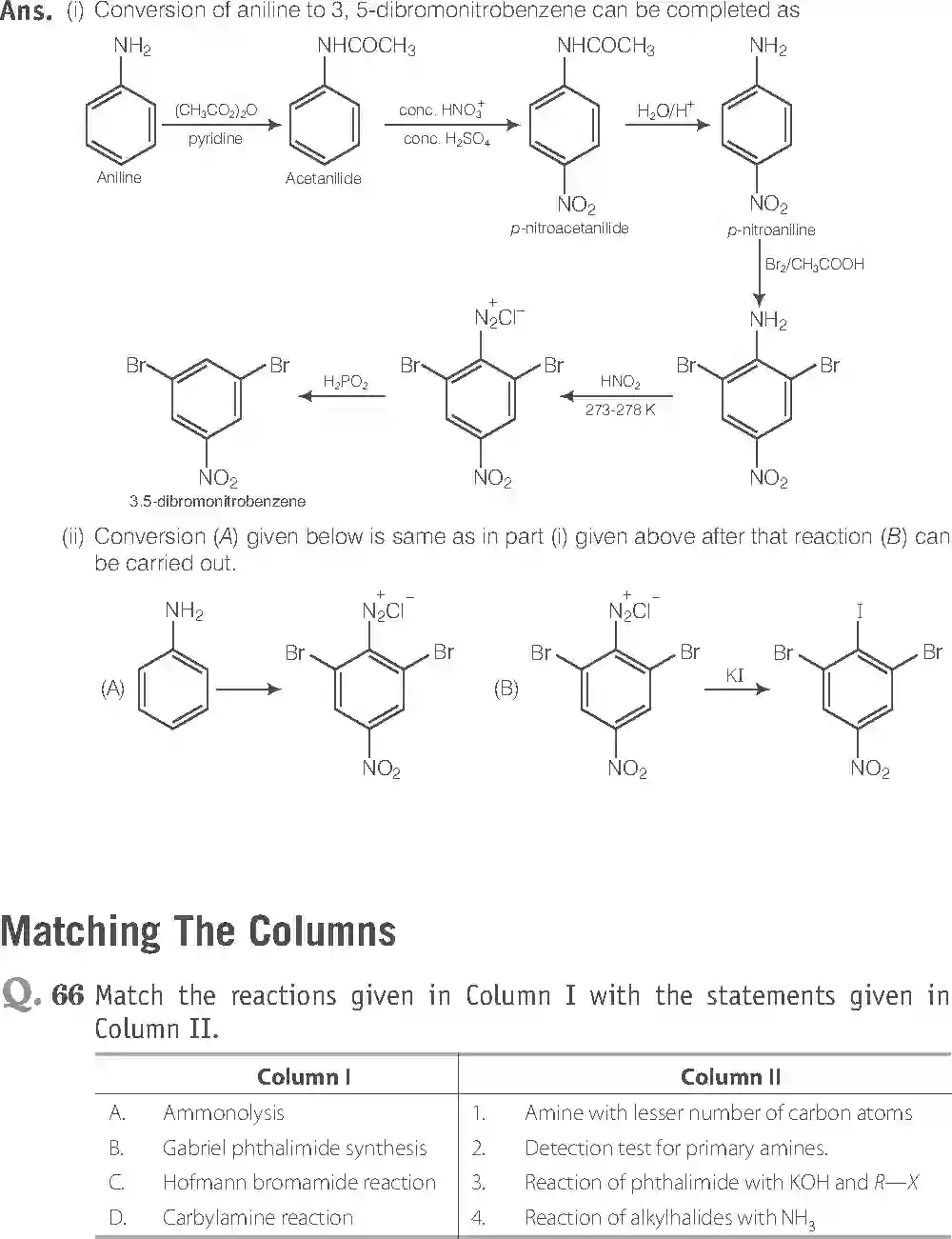 NCERT-Solution-Class-12-Chemistry-Exemplar-Amines-313-page-25
