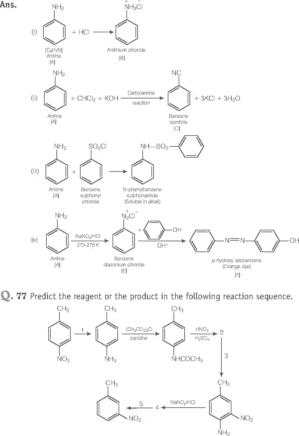 NCERT-Solution-Class-12-Chemistry-Exemplar-Amines-313-page-30