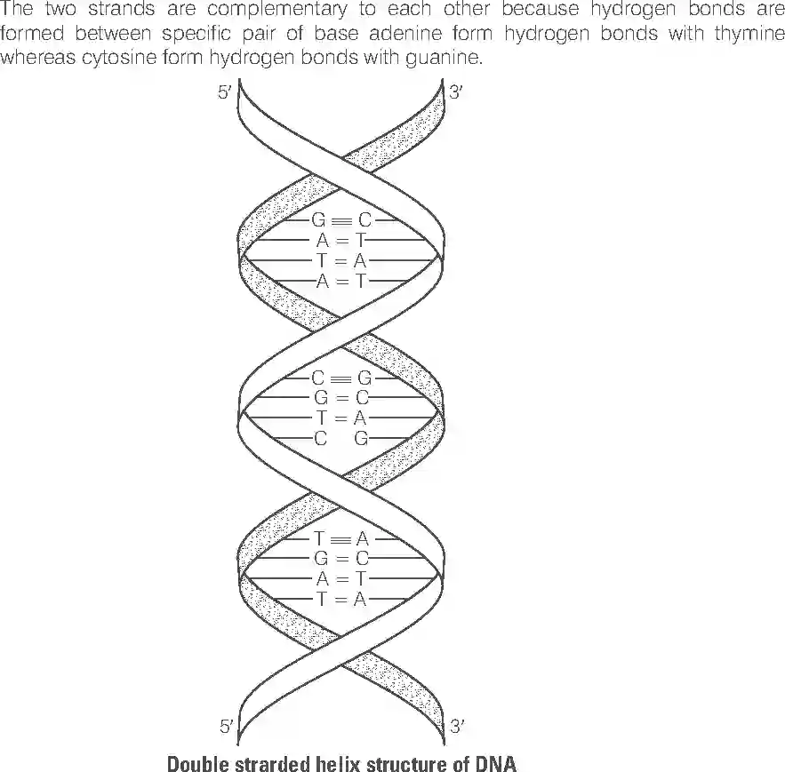 NCERT-Solution-Class-12-Chemistry-Exemplar-Biomolecules-314-page-28