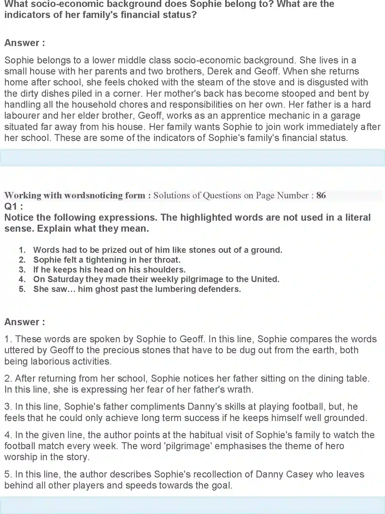NCERT-Solution-Class-12-Flamingo-Going-Places-4522-page-6