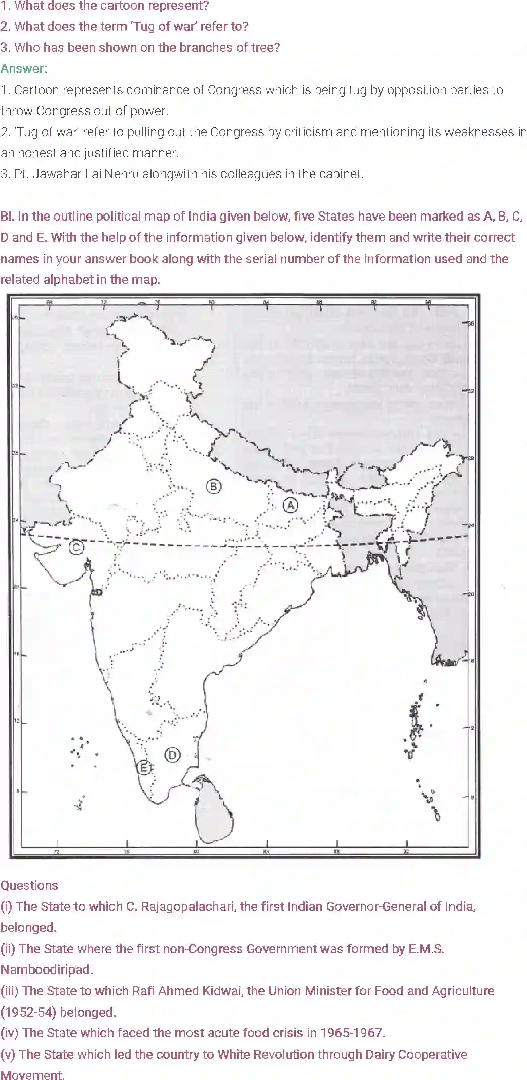 NCERT-Solution-Class-12-Political-Science-Chapter-2-Era-of-One-Party-Dominance-185-page-10