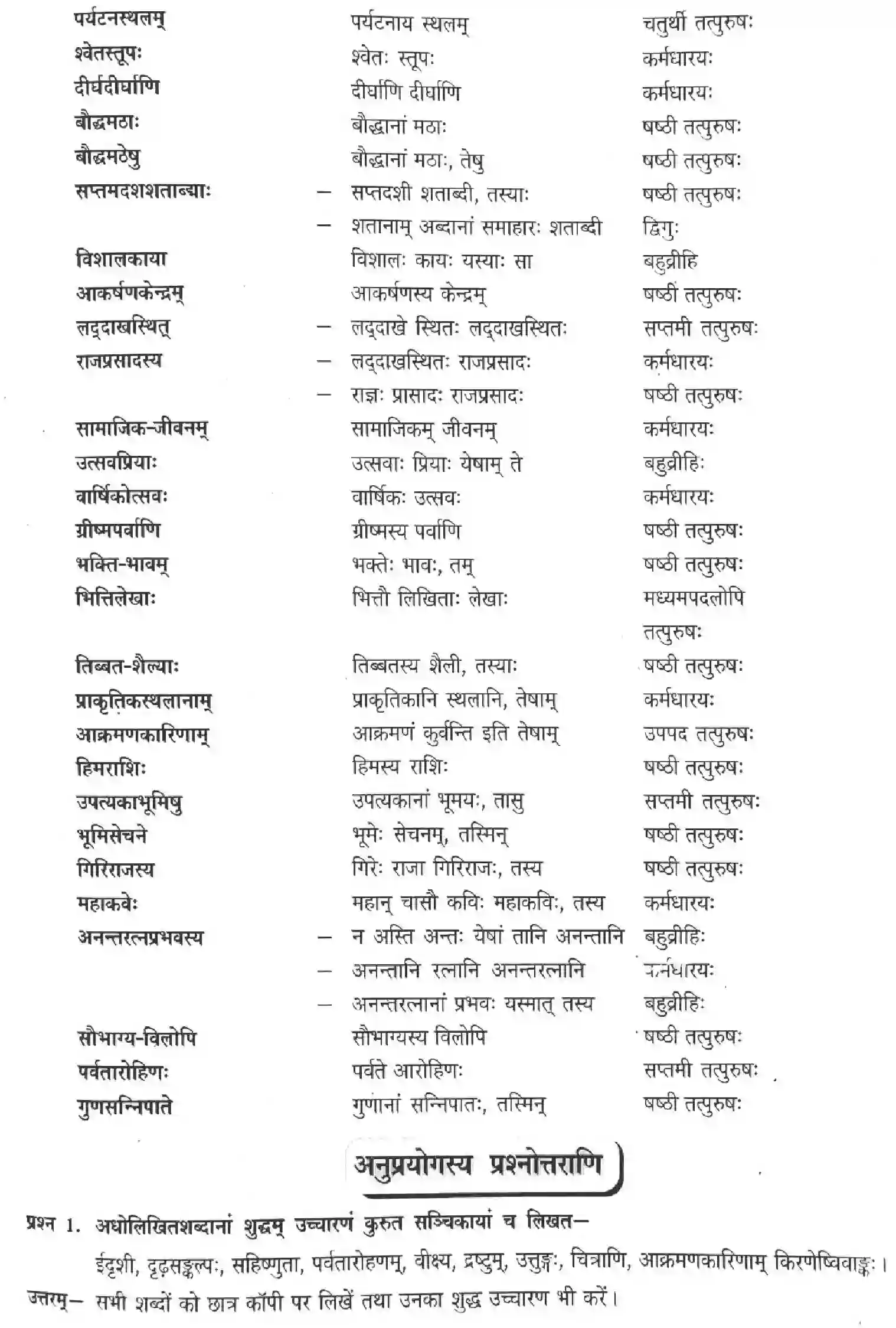 NCERT-Solution-Class-12-Sanskrit-Aho-Rajte-Kichhshiyam-Himani-2456-page-6