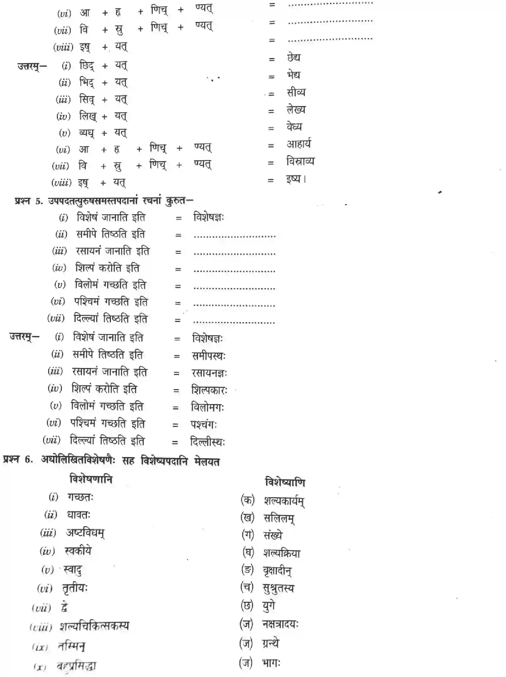 NCERT-Solution-Class-12-Sanskrit-Ashcharyamayam-Vigyanjagatah-287-page-10