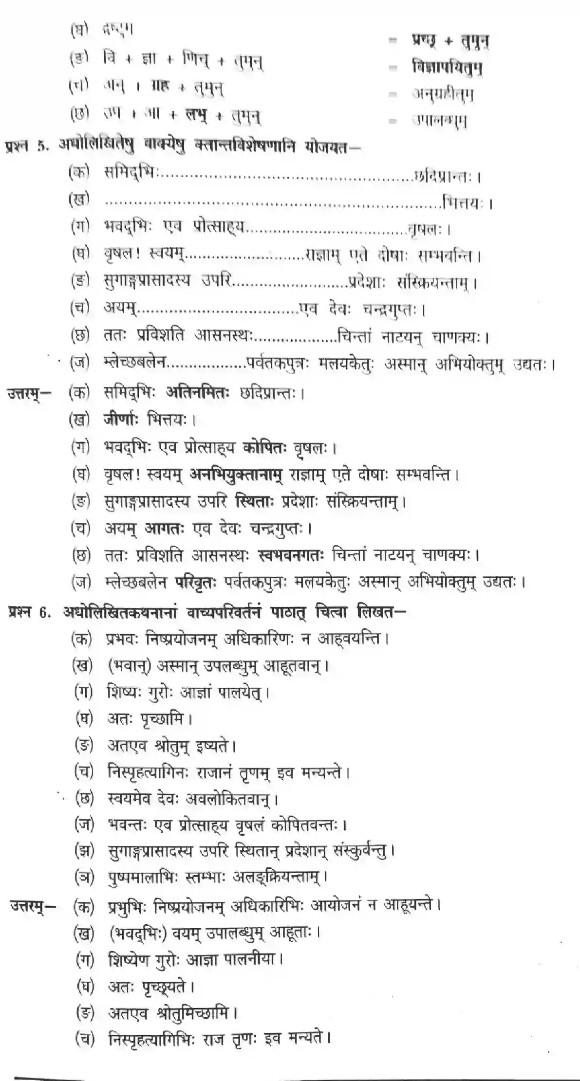 NCERT-Solution-Class-12-Sanskrit-Rashtrachinta-Gariyasi-282-page-11