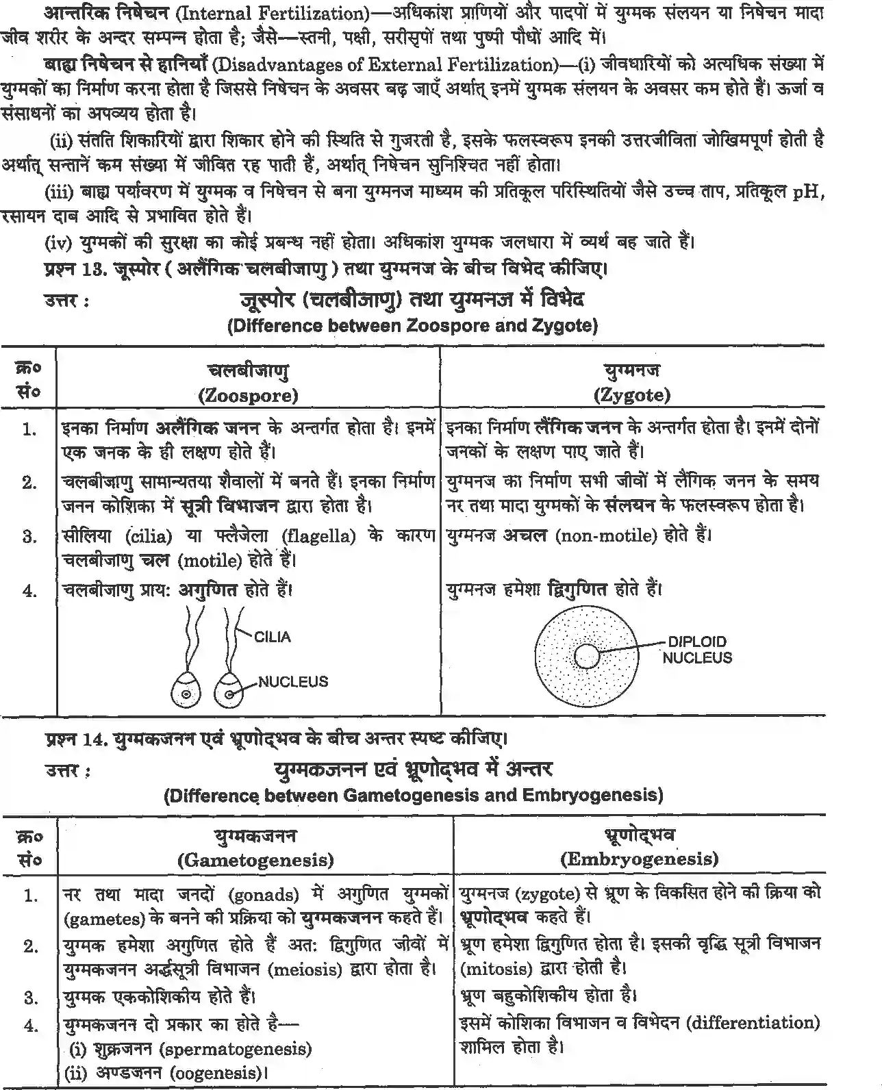 NCERT-Solution-Class-12-जीव-विज्ञान-जीवों-में-जनन-4493-page-4