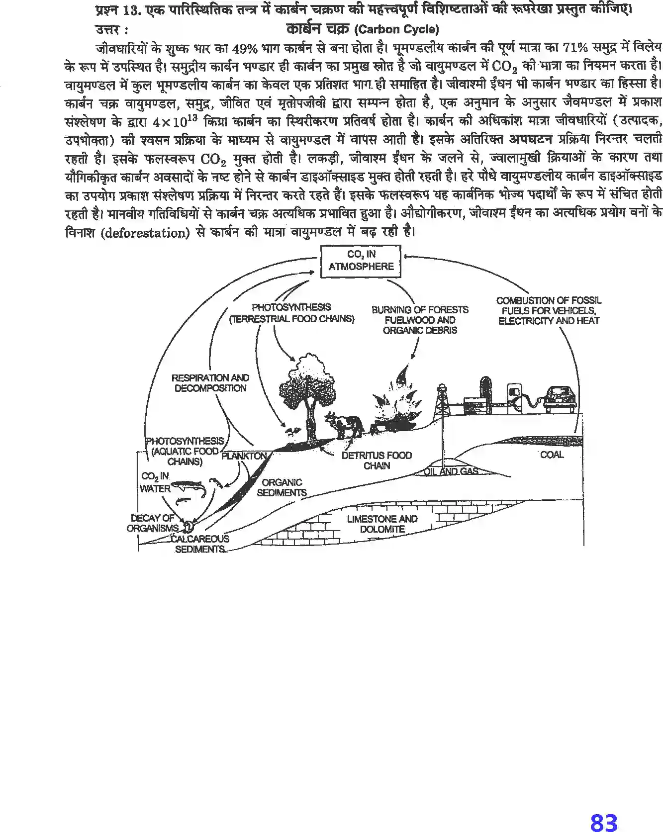 NCERT-Solution-Class-12-जीव-विज्ञान-पारितंत्र-4506-page-7
