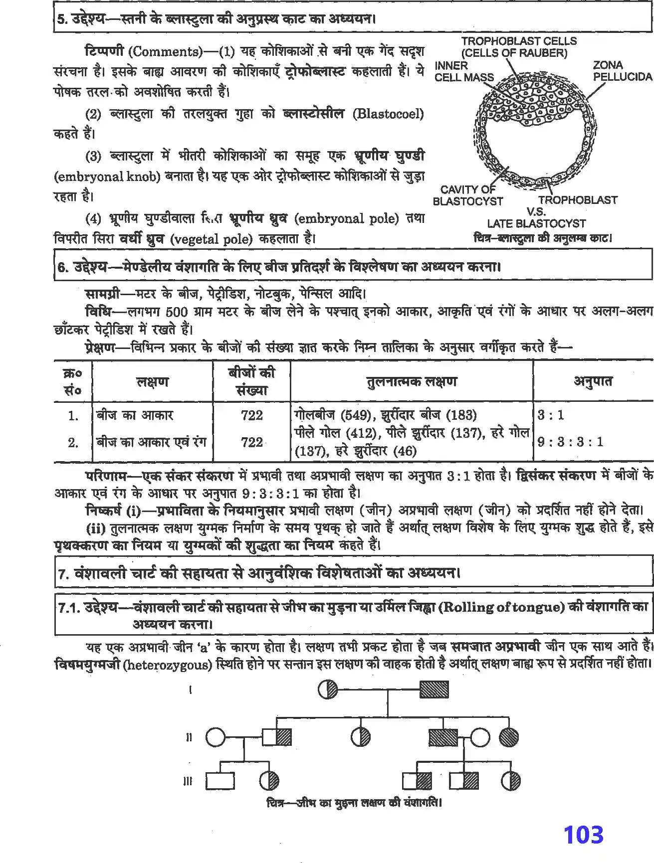 NCERT-Solution-Class-12-जीव-विज्ञान-प्रयोगात्मक-एवं-प्रोजेक्ट-कार्य-4509-page-10
