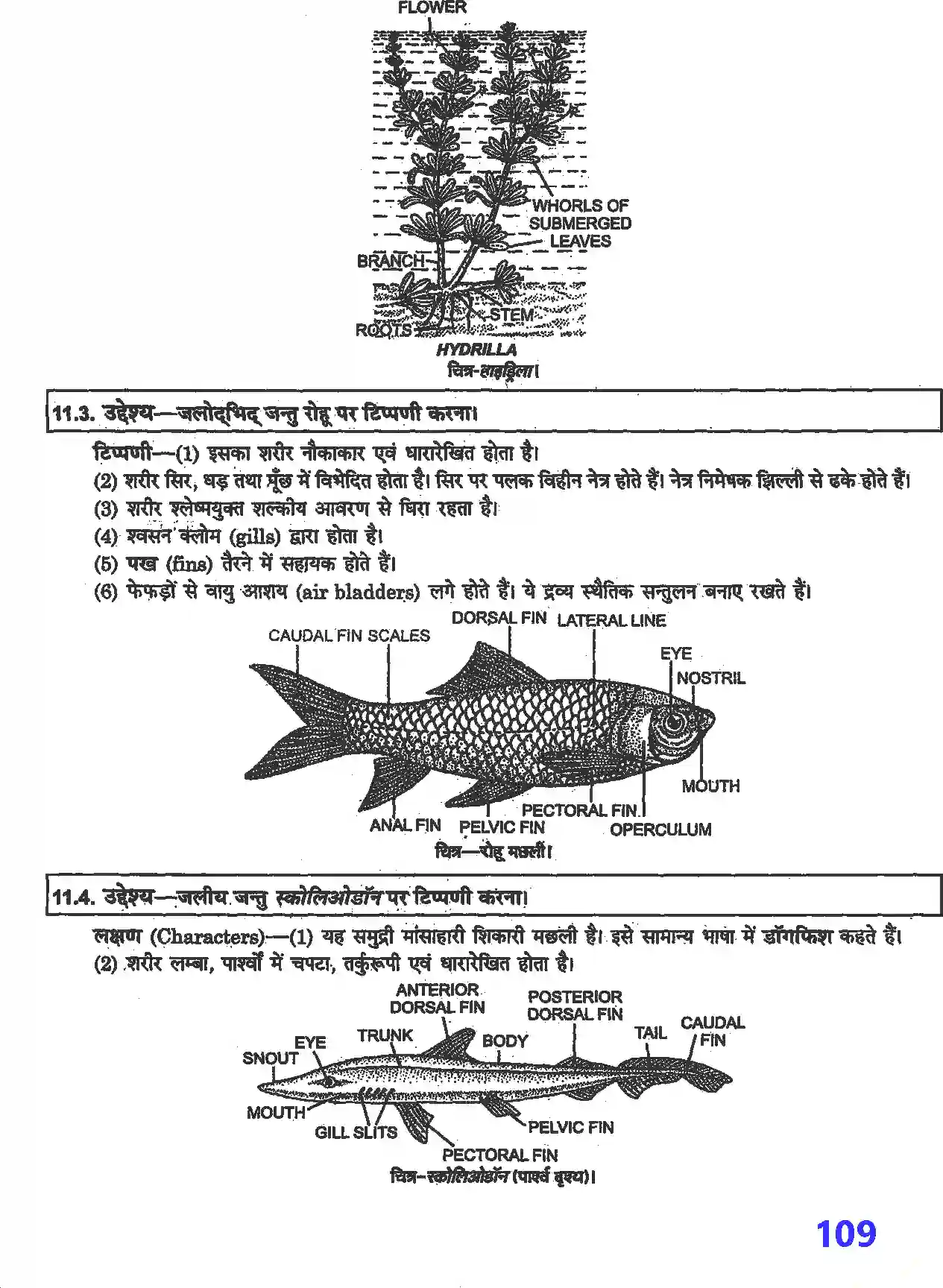 NCERT-Solution-Class-12-जीव-विज्ञान-प्रयोगात्मक-एवं-प्रोजेक्ट-कार्य-4509-page-16