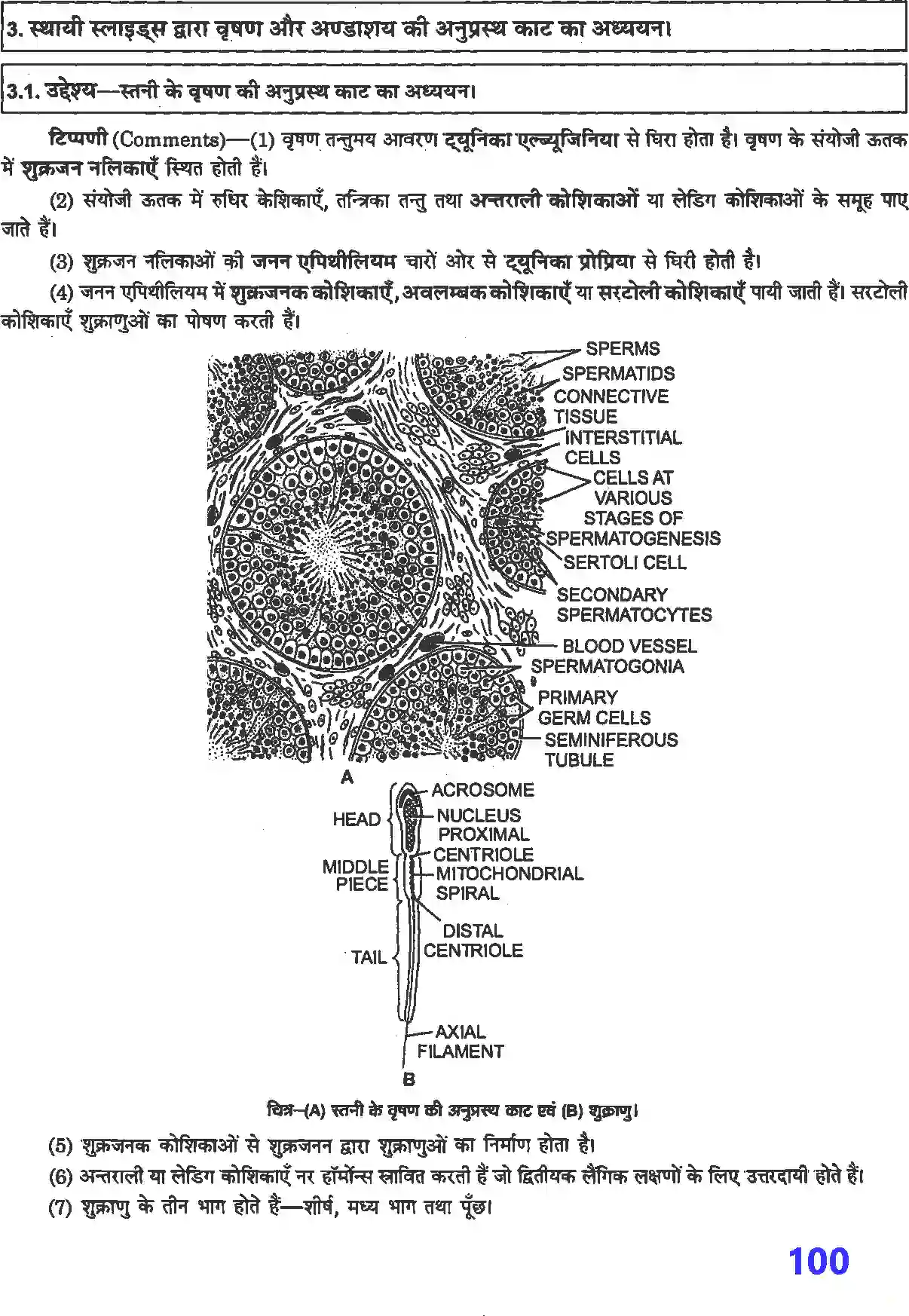 NCERT-Solution-Class-12-जीव-विज्ञान-प्रयोगात्मक-एवं-प्रोजेक्ट-कार्य-4509-page-7