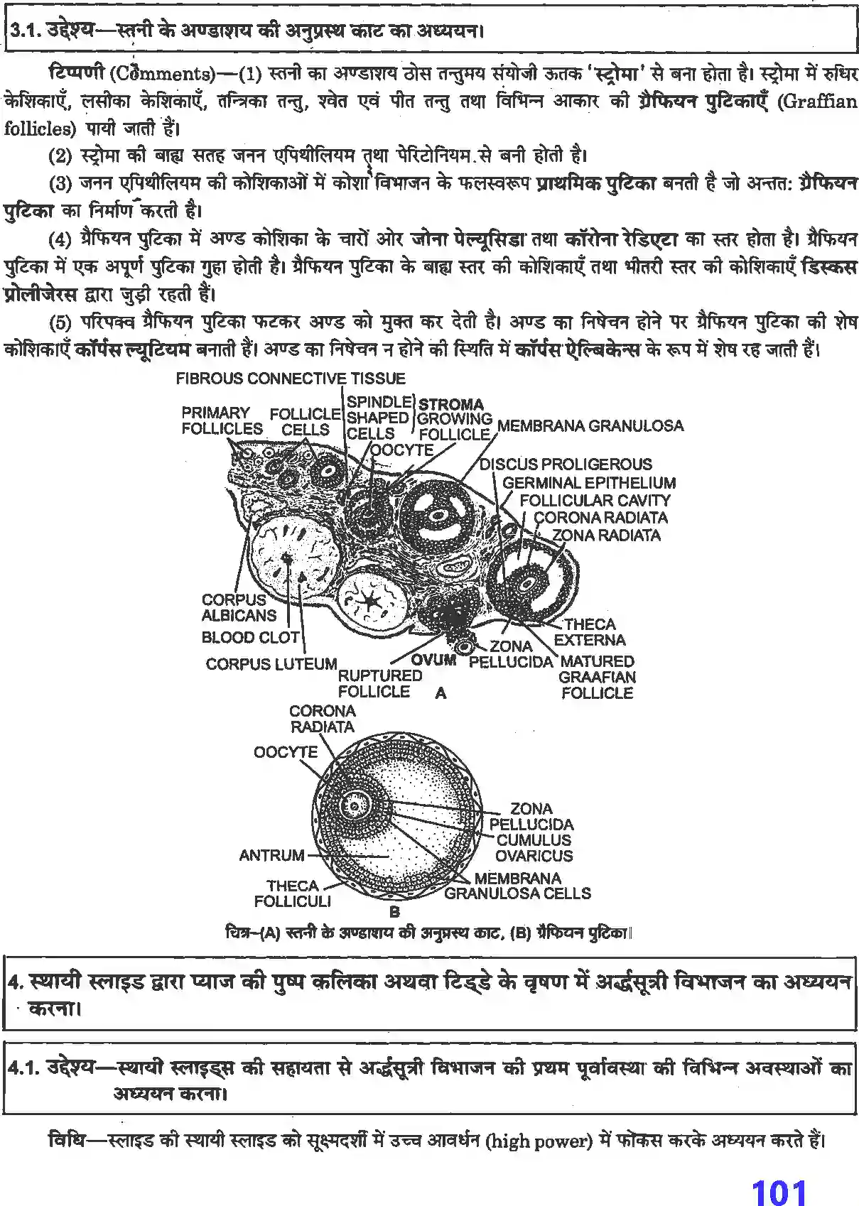 NCERT-Solution-Class-12-जीव-विज्ञान-प्रयोगात्मक-एवं-प्रोजेक्ट-कार्य-4509-page-8