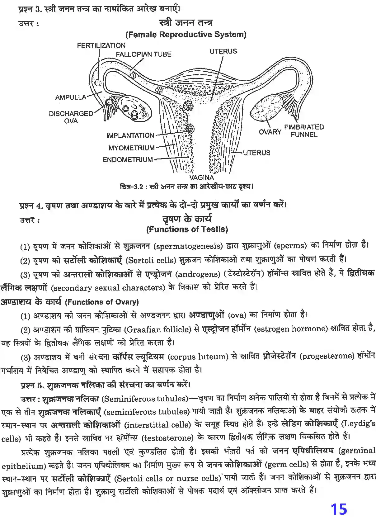 NCERT-Solution-Class-12-जीव-विज्ञान-मानव-जनन-4495-page-2