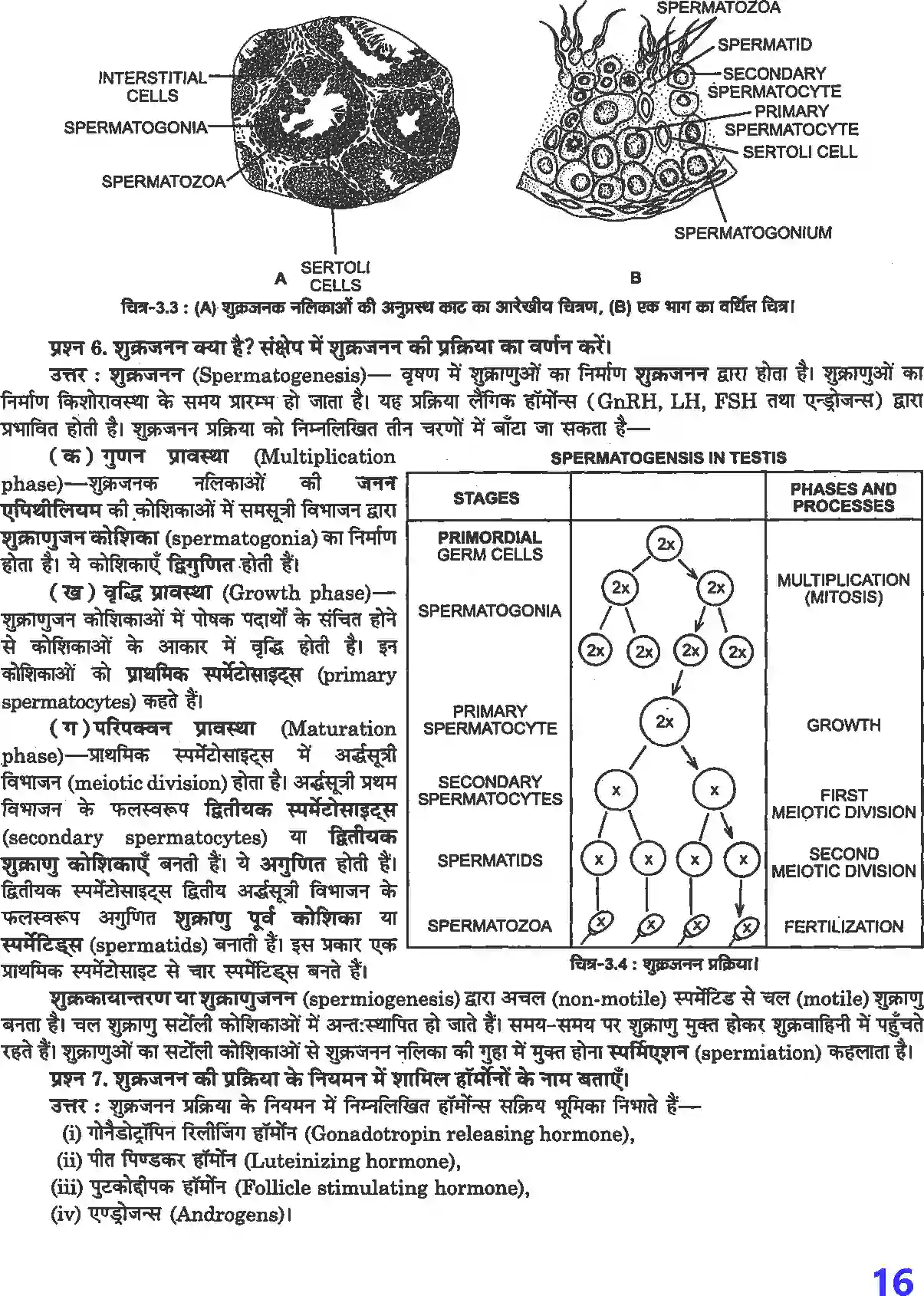 NCERT-Solution-Class-12-जीव-विज्ञान-मानव-जनन-4495-page-3