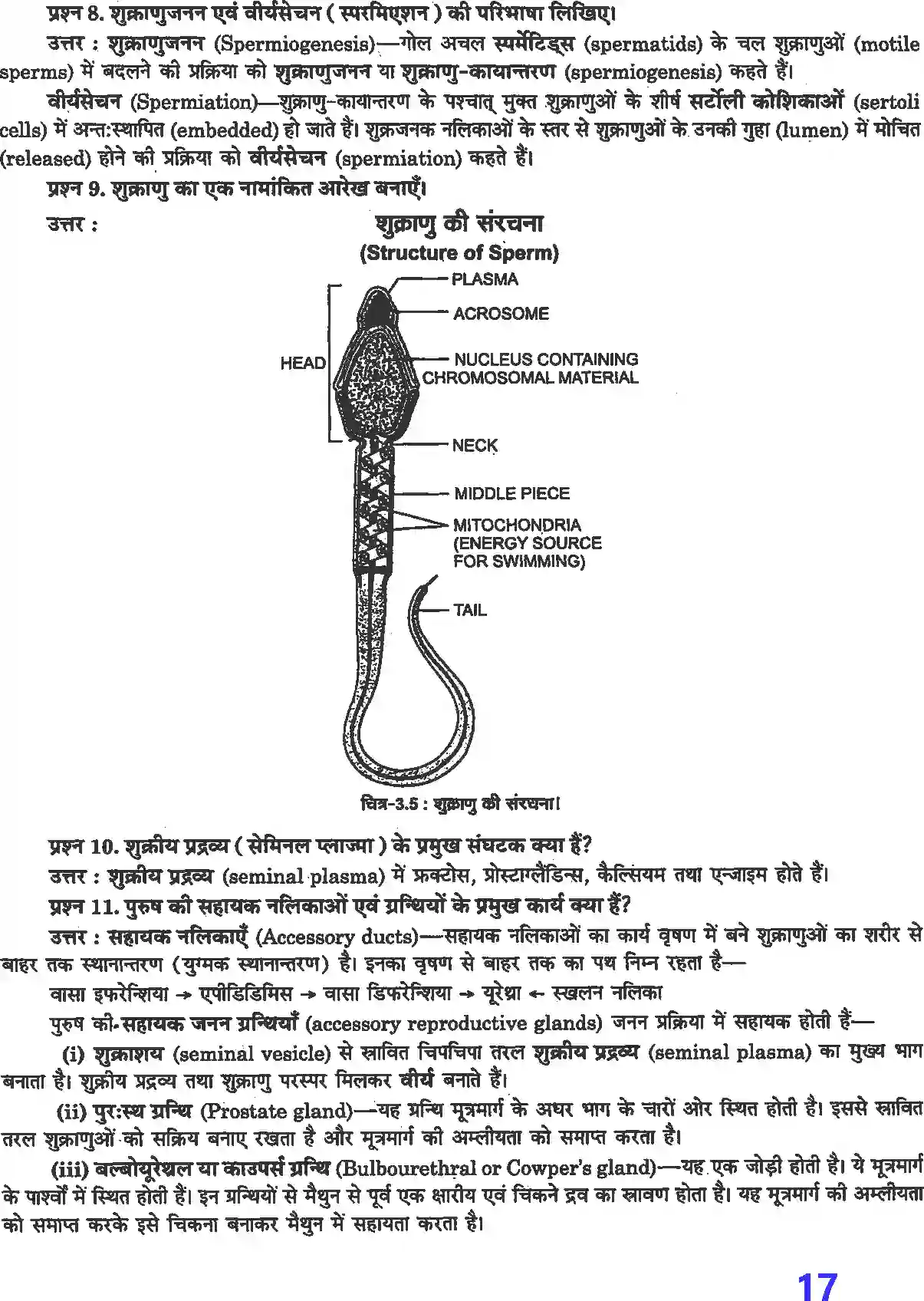 NCERT-Solution-Class-12-जीव-विज्ञान-मानव-जनन-4495-page-4