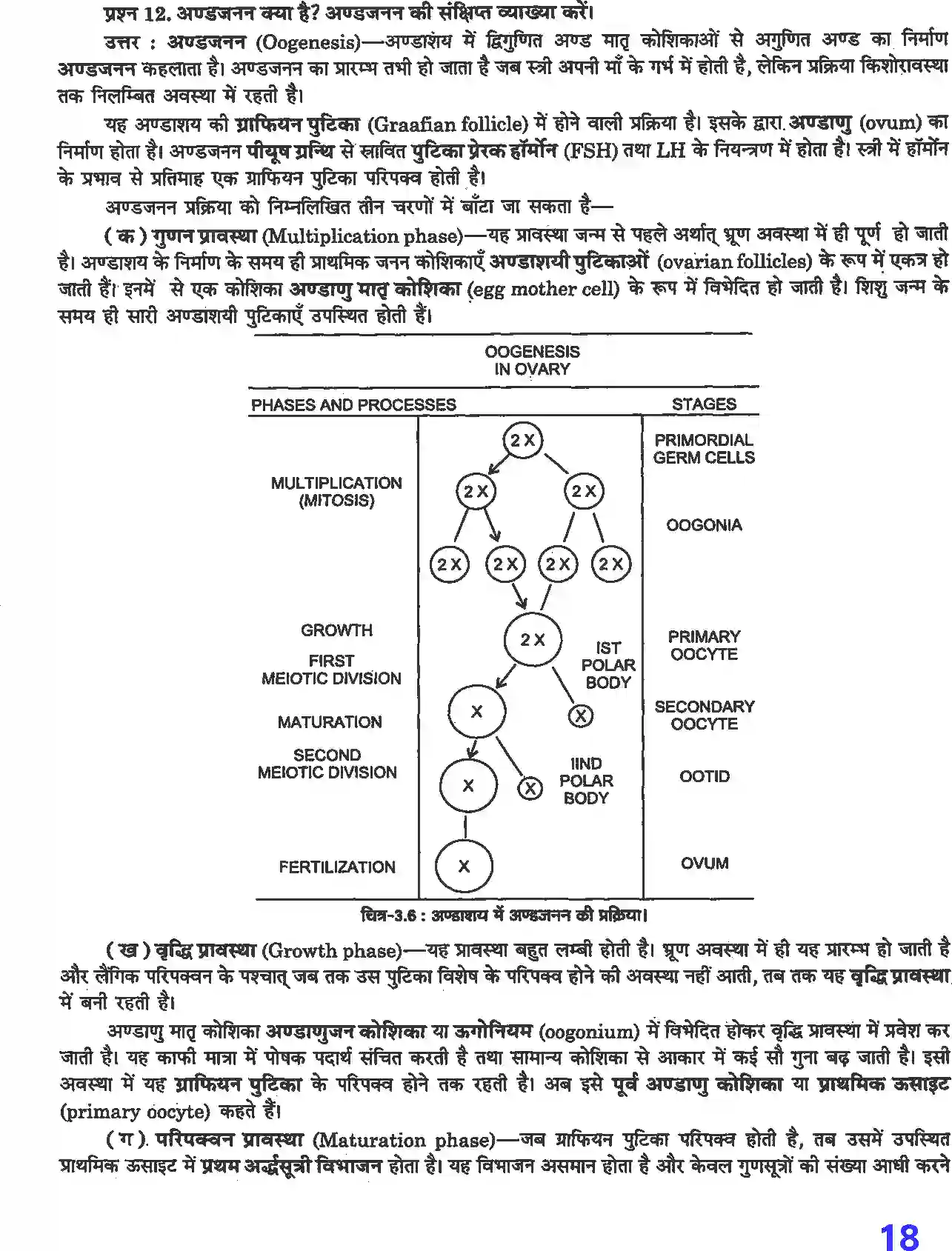 NCERT-Solution-Class-12-जीव-विज्ञान-मानव-जनन-4495-page-5