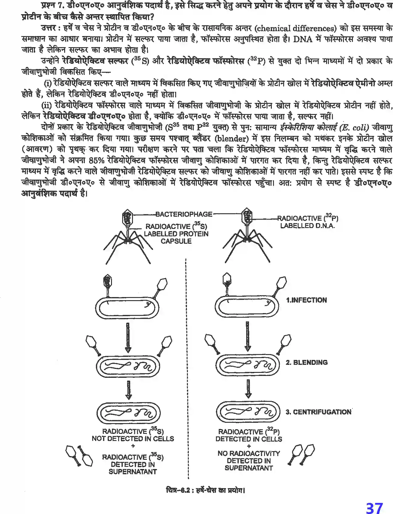 NCERT-Solution-Class-12-जीव-विज्ञान-वंशागति-के-आण्विक-आधार-4498-page-3
