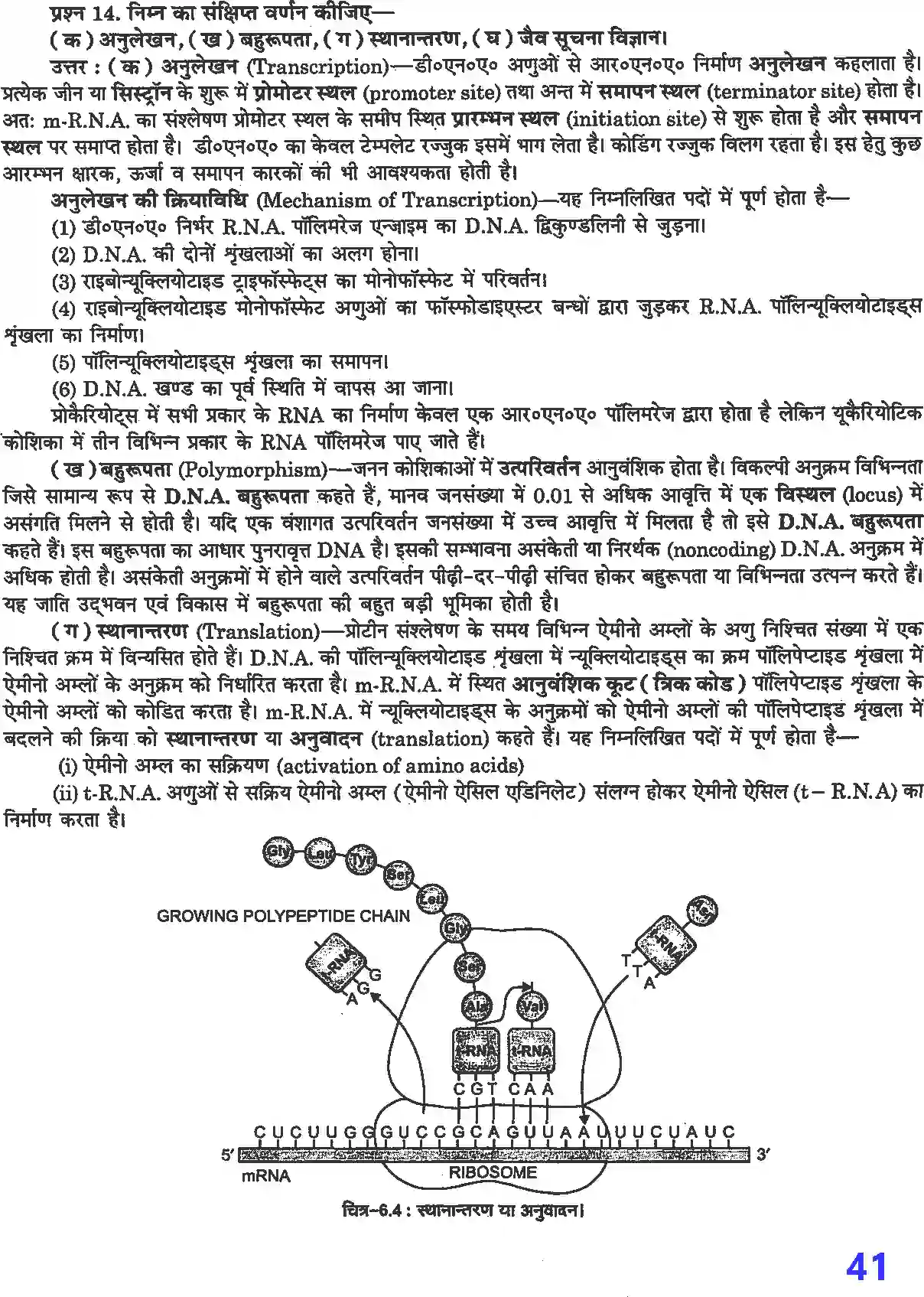 NCERT-Solution-Class-12-जीव-विज्ञान-वंशागति-के-आण्विक-आधार-4498-page-7