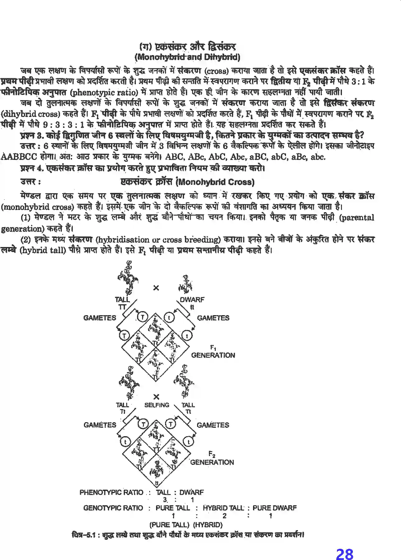 NCERT-Solution-Class-12-जीव-विज्ञान-वंशागति-तथा-विविधता-के-सिद्धांत-4497-page-2