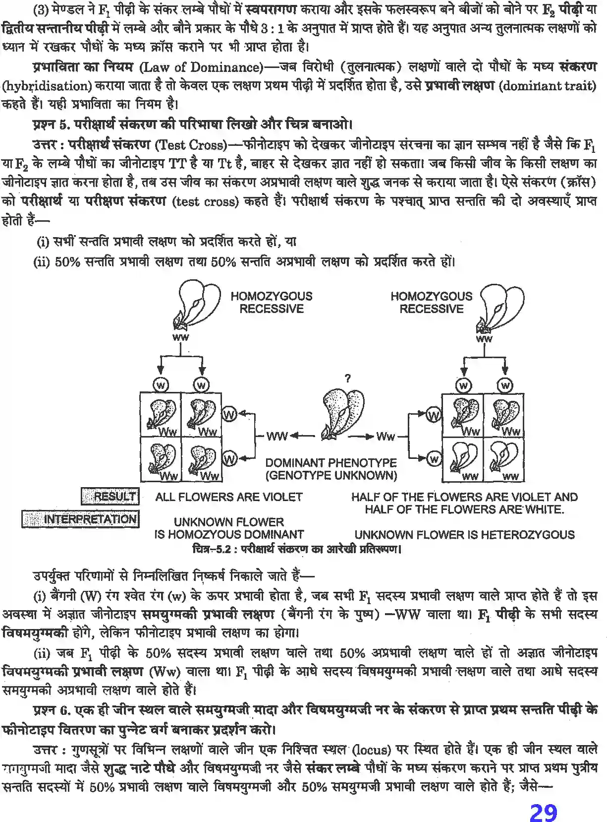 NCERT-Solution-Class-12-जीव-विज्ञान-वंशागति-तथा-विविधता-के-सिद्धांत-4497-page-3