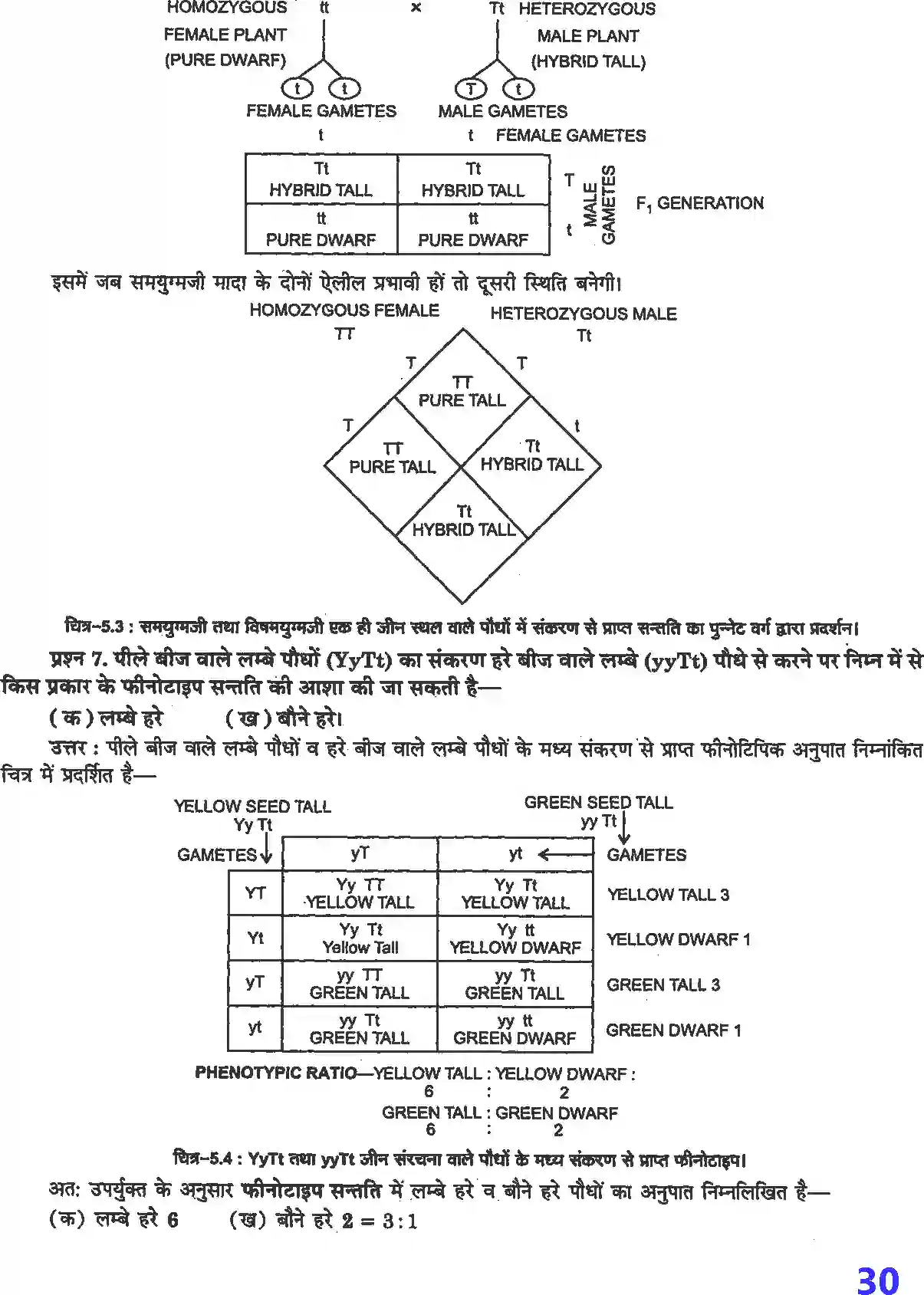 NCERT-Solution-Class-12-जीव-विज्ञान-वंशागति-तथा-विविधता-के-सिद्धांत-4497-page-4