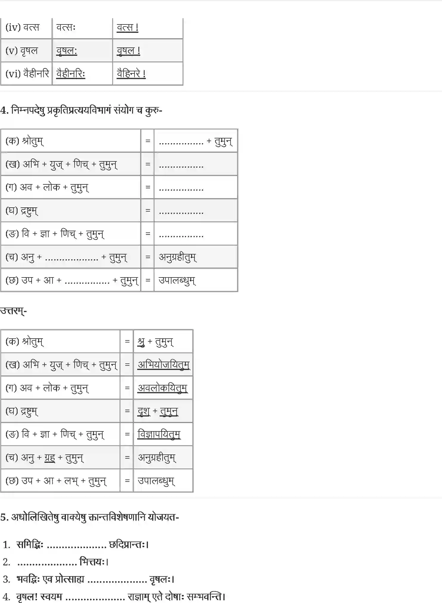 NCERT-Solution-Class-12-संस्कृत-कोर-राष्ट्रचिन्ता-गरीयसी-4436-page-3