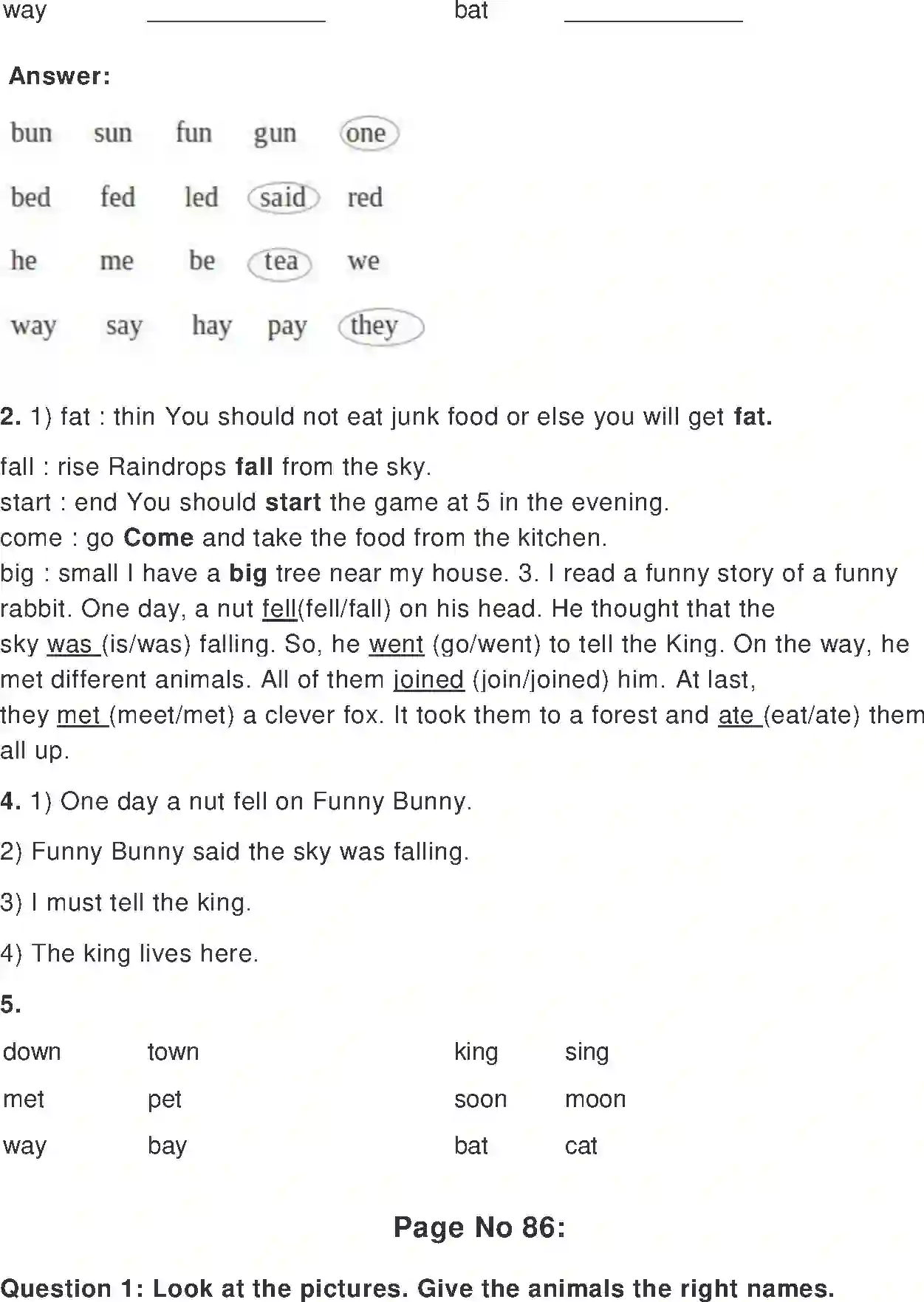 NCERT-Solution-Class-2-Marigold-Chapter-10-Funny-Bunny-4288-page-4