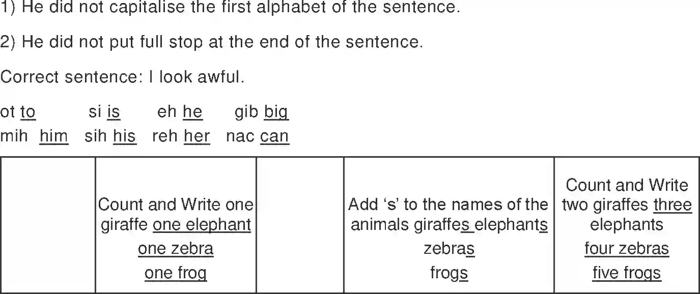 NCERT-Solution-Class-2-Marigold-Chapter-4-I-Want-4282-page-7