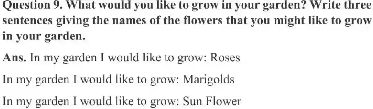 NCERT-Solution-Class-3-English-Chapter-1-The-Magic-Garden-4181-page-3