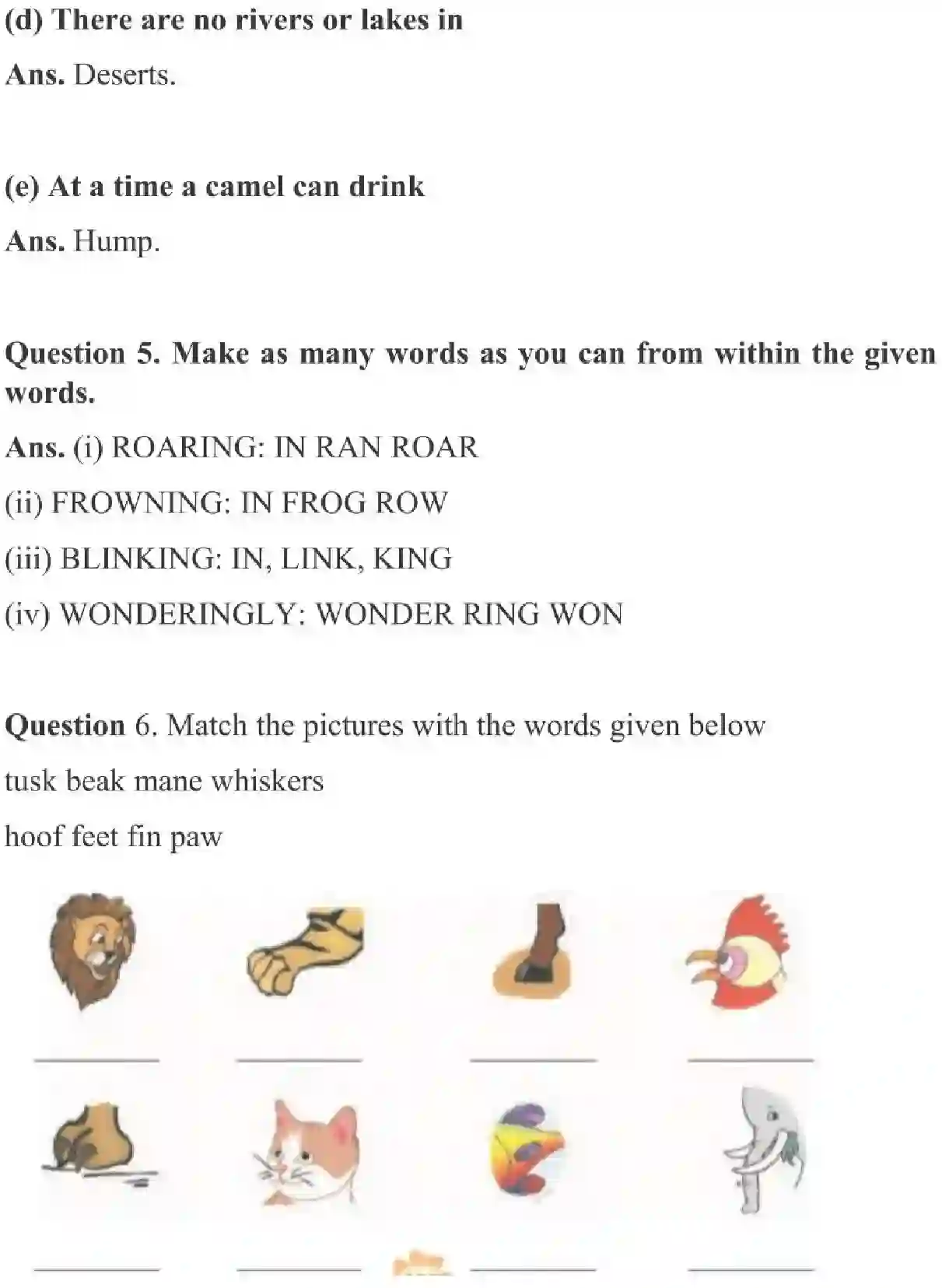 NCERT-Solution-Class-3-English-Chapter-10-Ship-of-the-Desert-2018-page-2