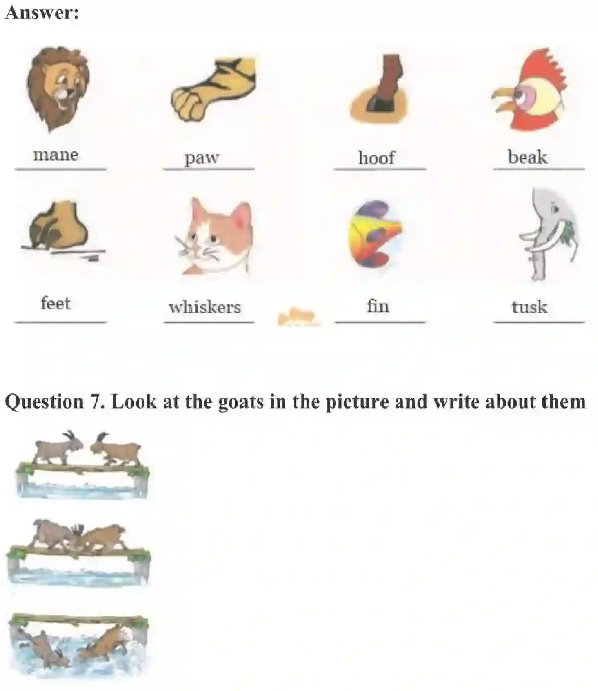 NCERT-Solution-Class-3-English-Chapter-10-Ship-of-the-Desert-4190-page-3