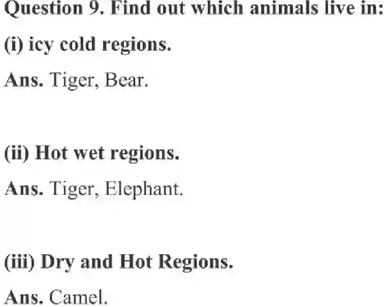 NCERT-Solution-Class-3-English-Chapter-10-Ship-of-the-Desert-4190-page-6