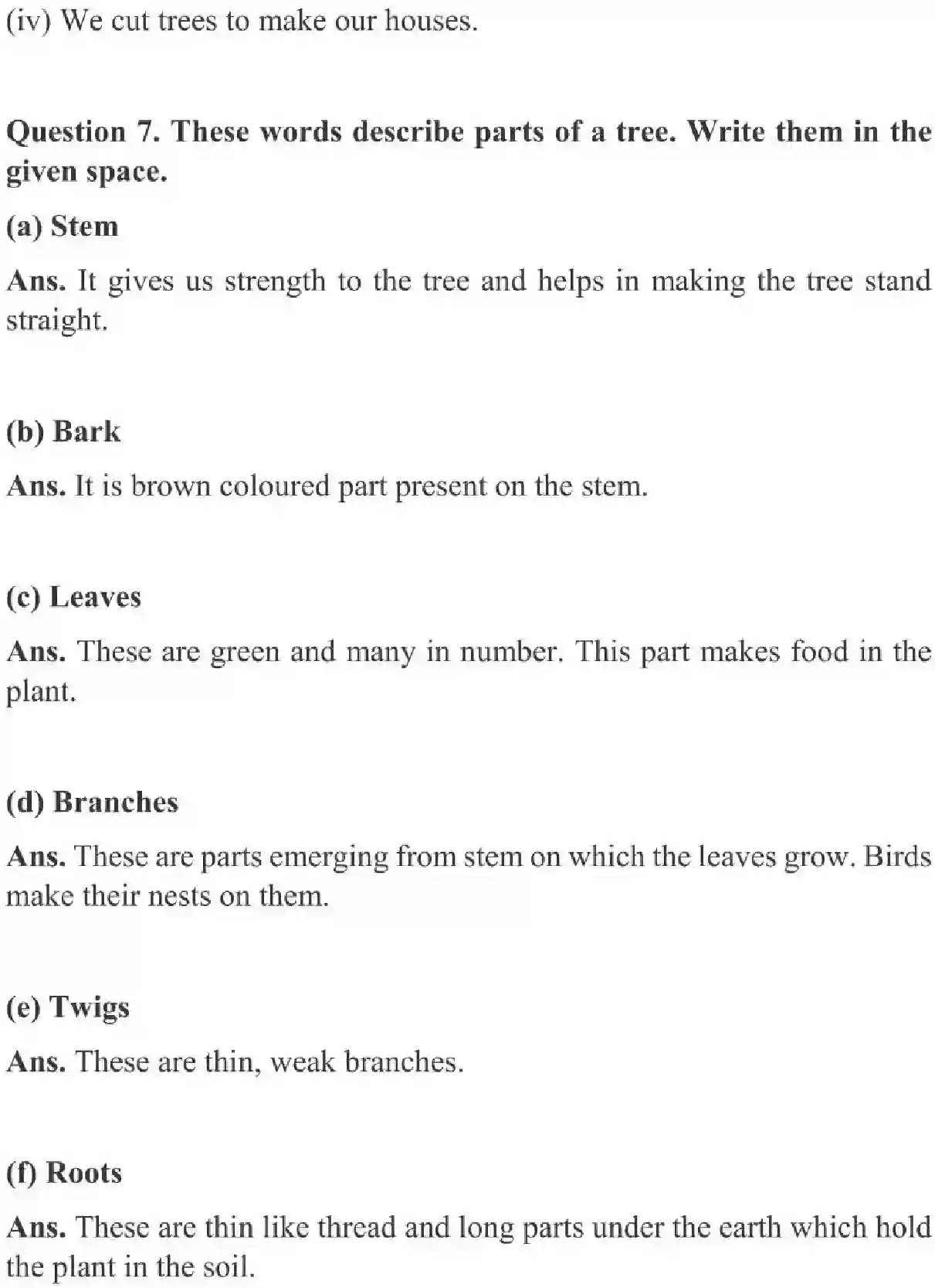 NCERT-Solution-Class-3-English-Chapter-13-Little-by-Little-2021-page-3