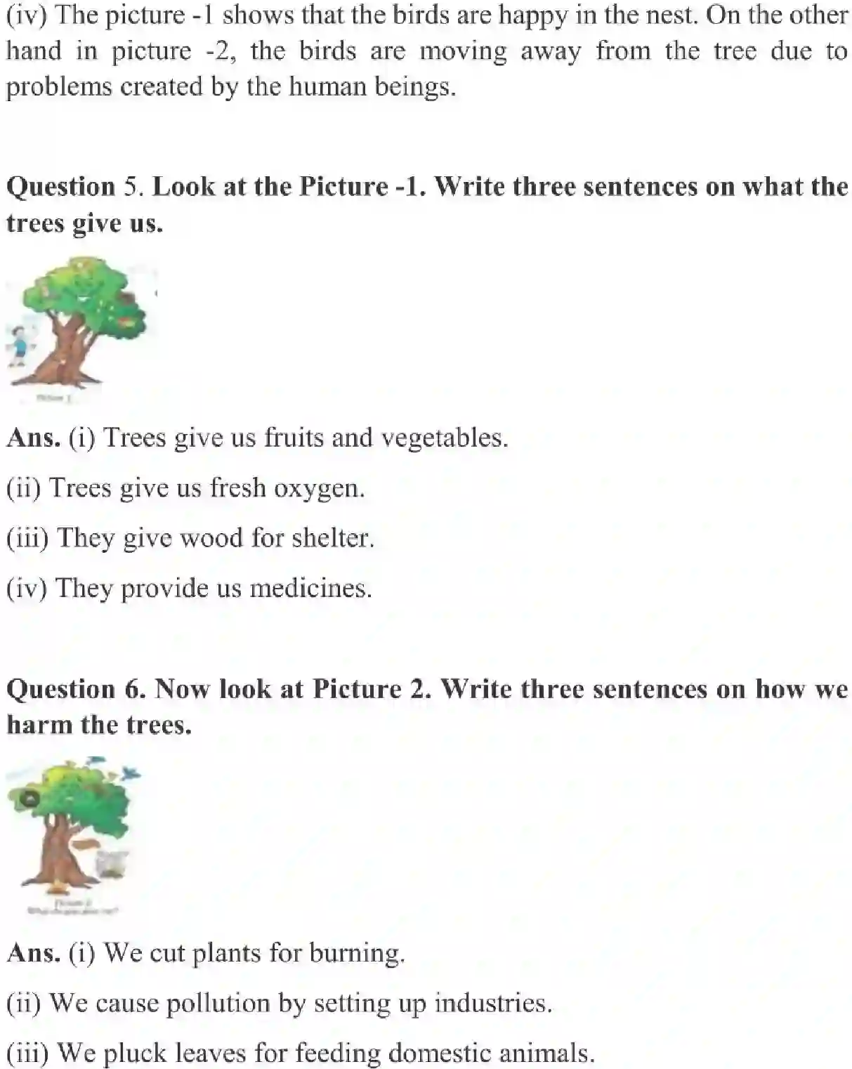 NCERT-Solution-Class-3-English-Chapter-13-Little-by-Little-4193-page-2