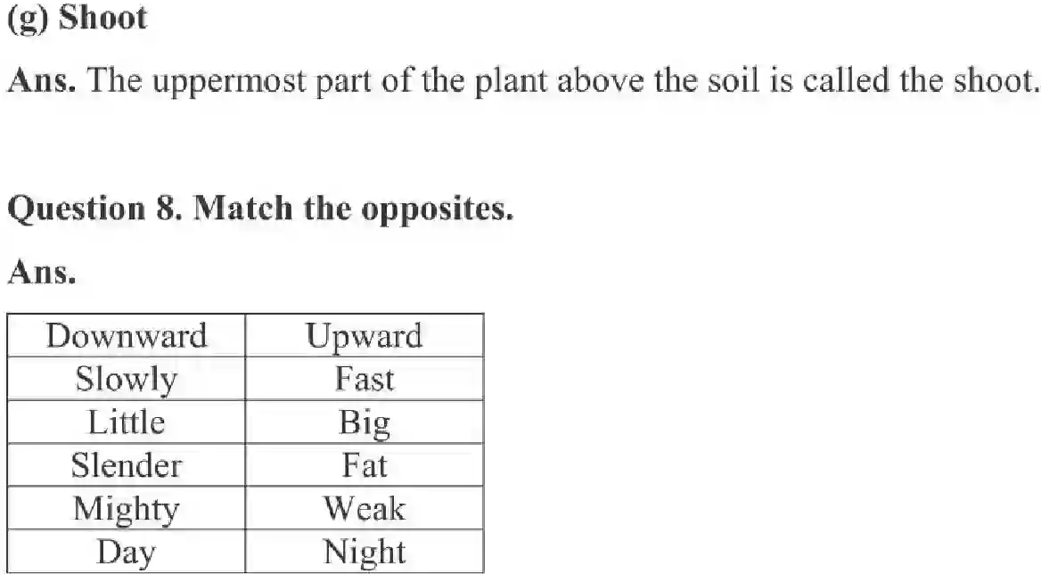 NCERT-Solution-Class-3-English-Chapter-13-Little-by-Little-4193-page-4