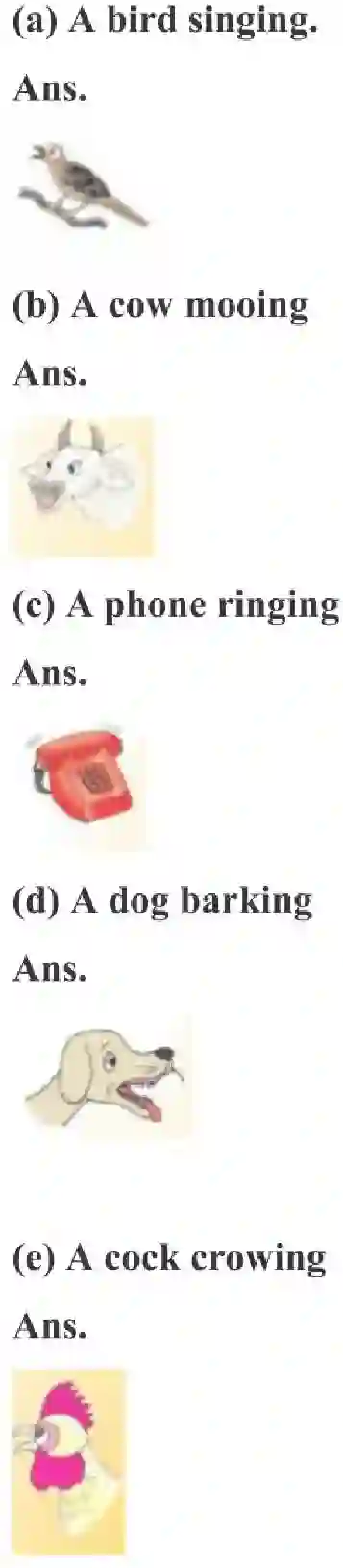 NCERT-Solution-Class-3-English-Chapter-14-Sea-Song-4194-page-3