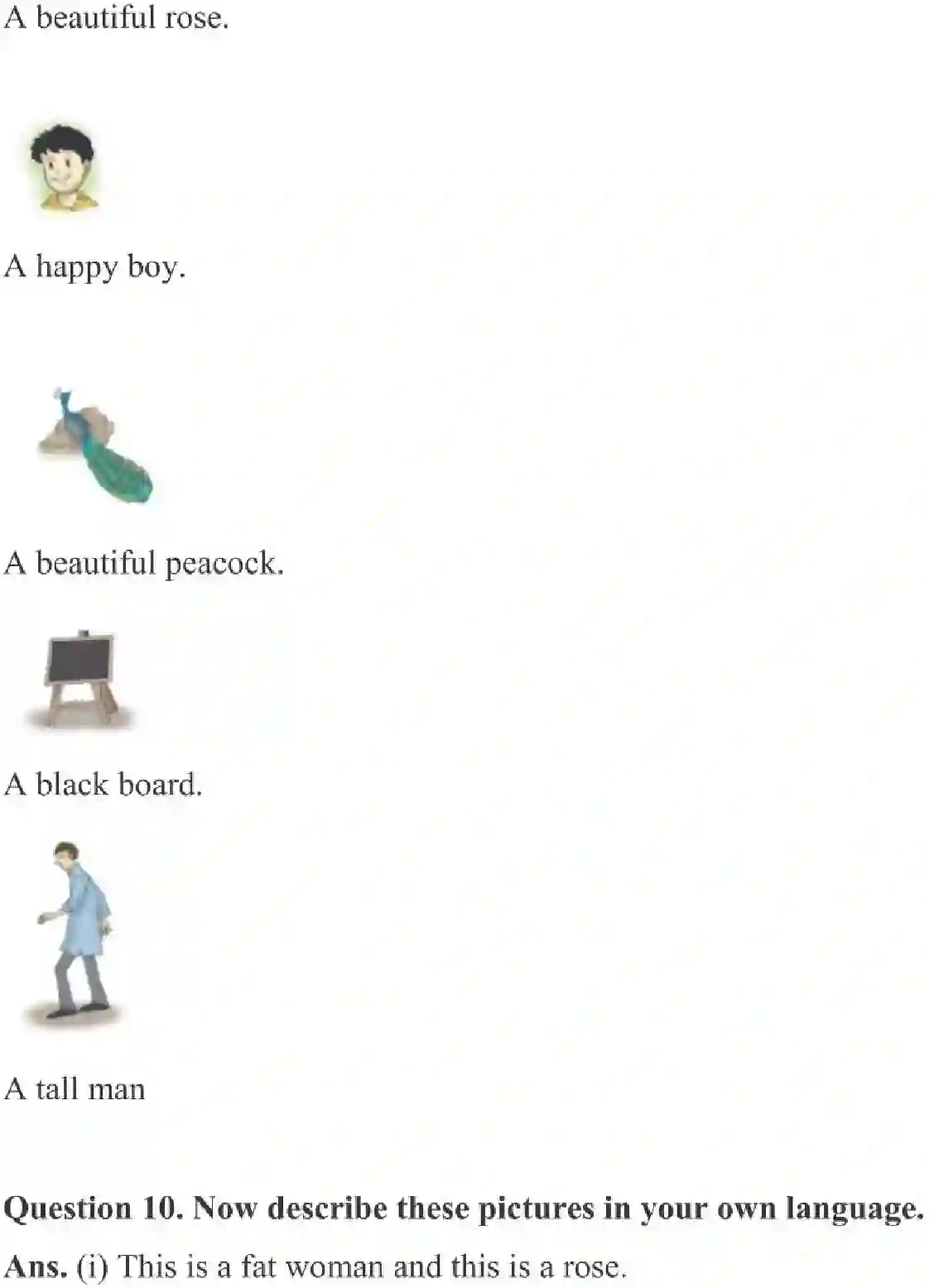 NCERT-Solution-Class-3-English-Chapter-2-Nina-and-the-Baby-Sparrows-4182-page-3