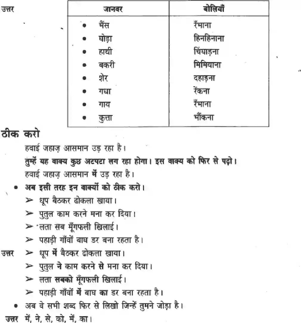NCERT-Solution-Class-3-Hindi-Chapter-11-Meera-Behan-Aur-Bagh-2005-page-3