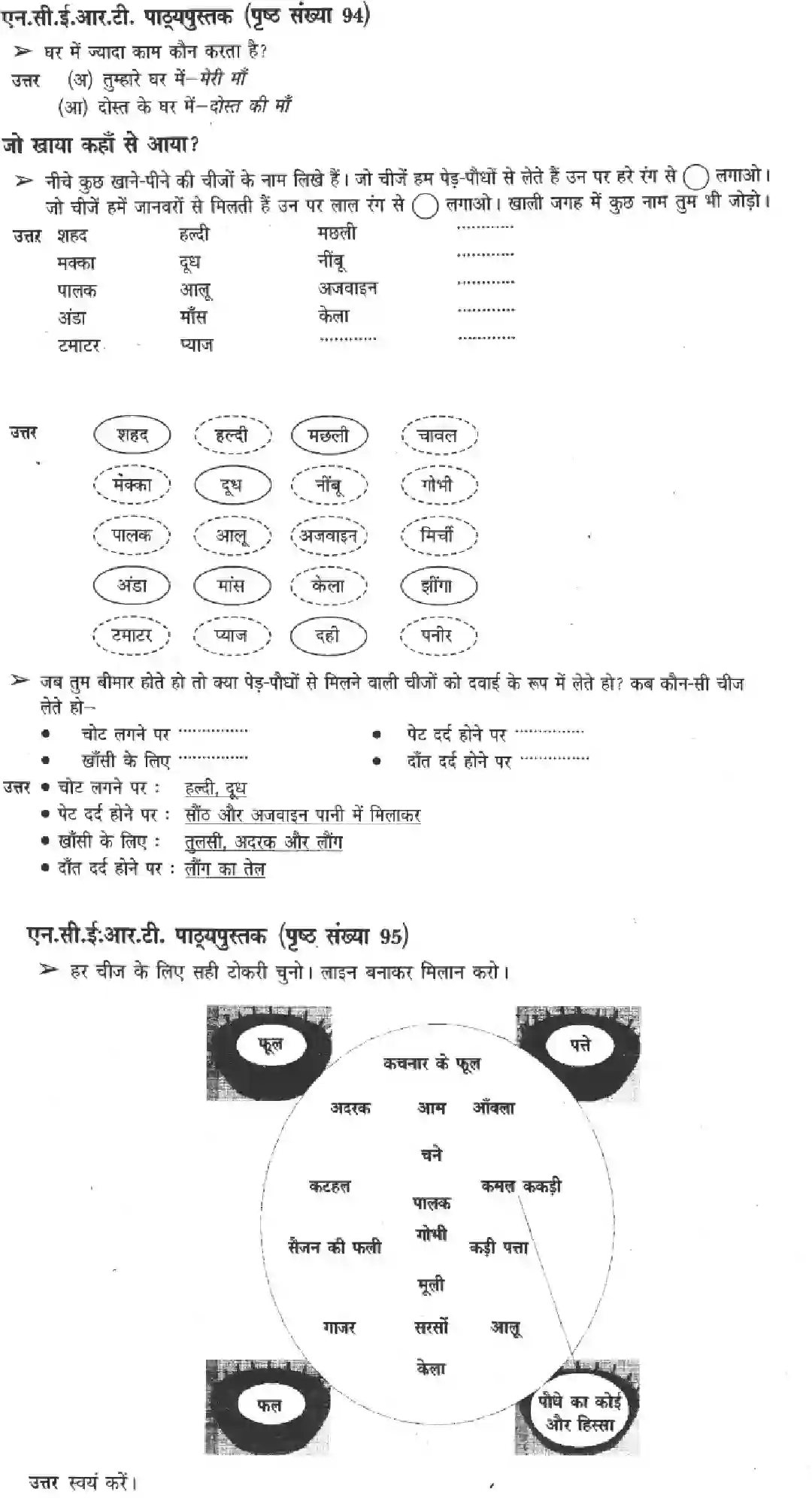 NCERT-Solution-Class-3-Paryavaran-Adhyayan-Chapter-14-Kaha-Se-Aaya-Kisne-Pakaya-4214-page-2