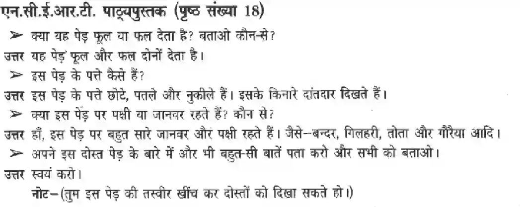 NCERT-Solution-Class-3-Paryavaran-Adhyayan-Chapter-2-Pondho-Ki-Pari-4202-page-2