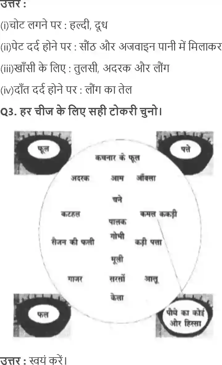 NCERT-Solution-Class-3-आसपास-कहाँ-से-आया-किसने-पकाया-5526-page-3