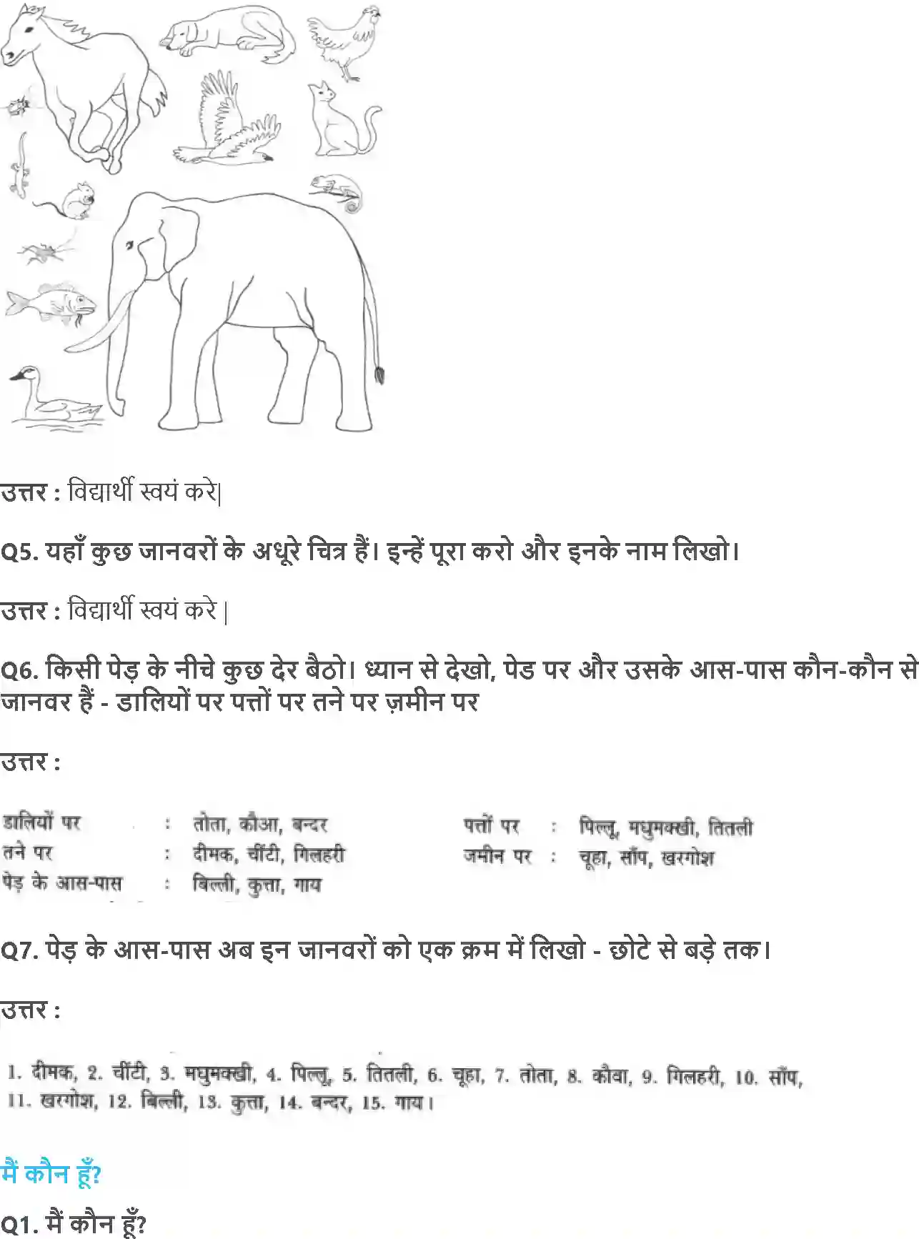 NCERT-Solution-Class-3-आसपास-डालडाल-पर-तालताल-पर-5513-page-2