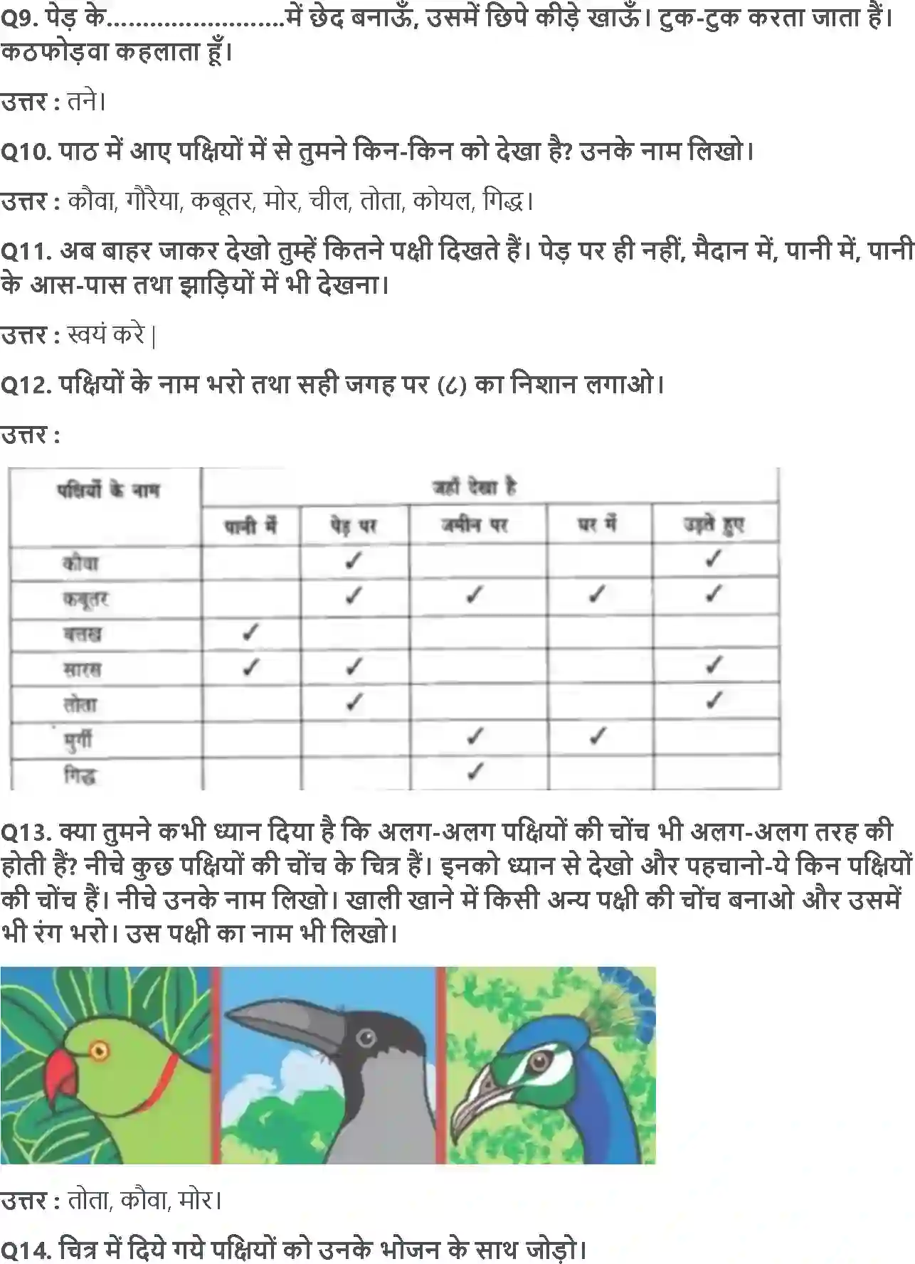 NCERT-Solution-Class-3-आसपास-पंख-फैलाएँ-उड़ते-जाएँ-5520-page-2